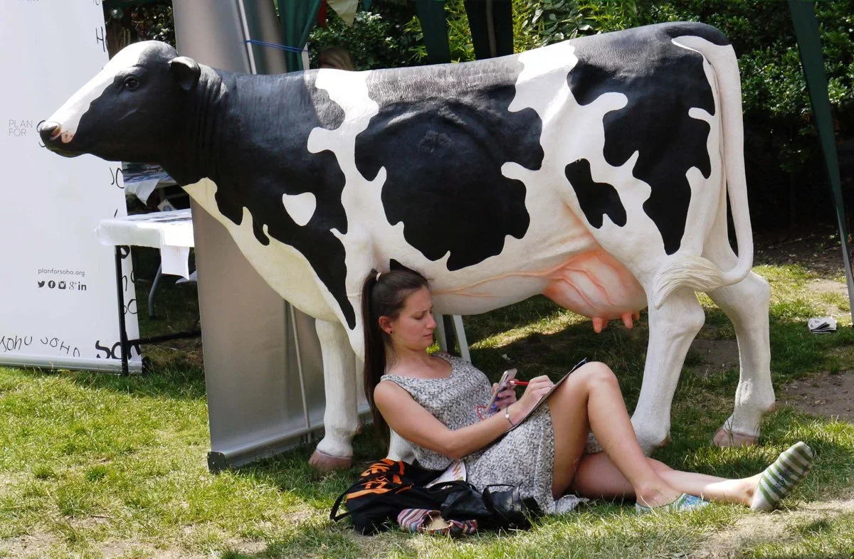 A woman sitting on the grass under a life-sized cow sculpture, using her phone, with the cow's udder hanging over her head.