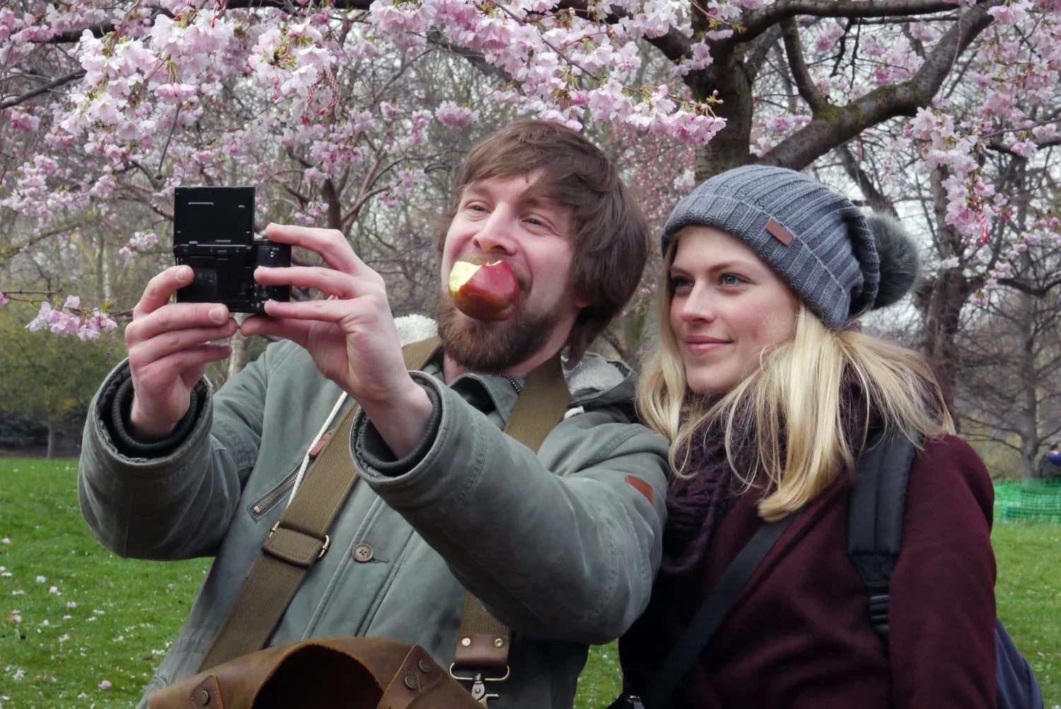 Two young adults taking a selfie outdoors in a park surrounded by blooming pink cherry blossom trees. The man has a beard and is holding a camera, has a red apple in his mouth, and is smiling. The woman has blonde hair, wears a gray beanie, and is sm