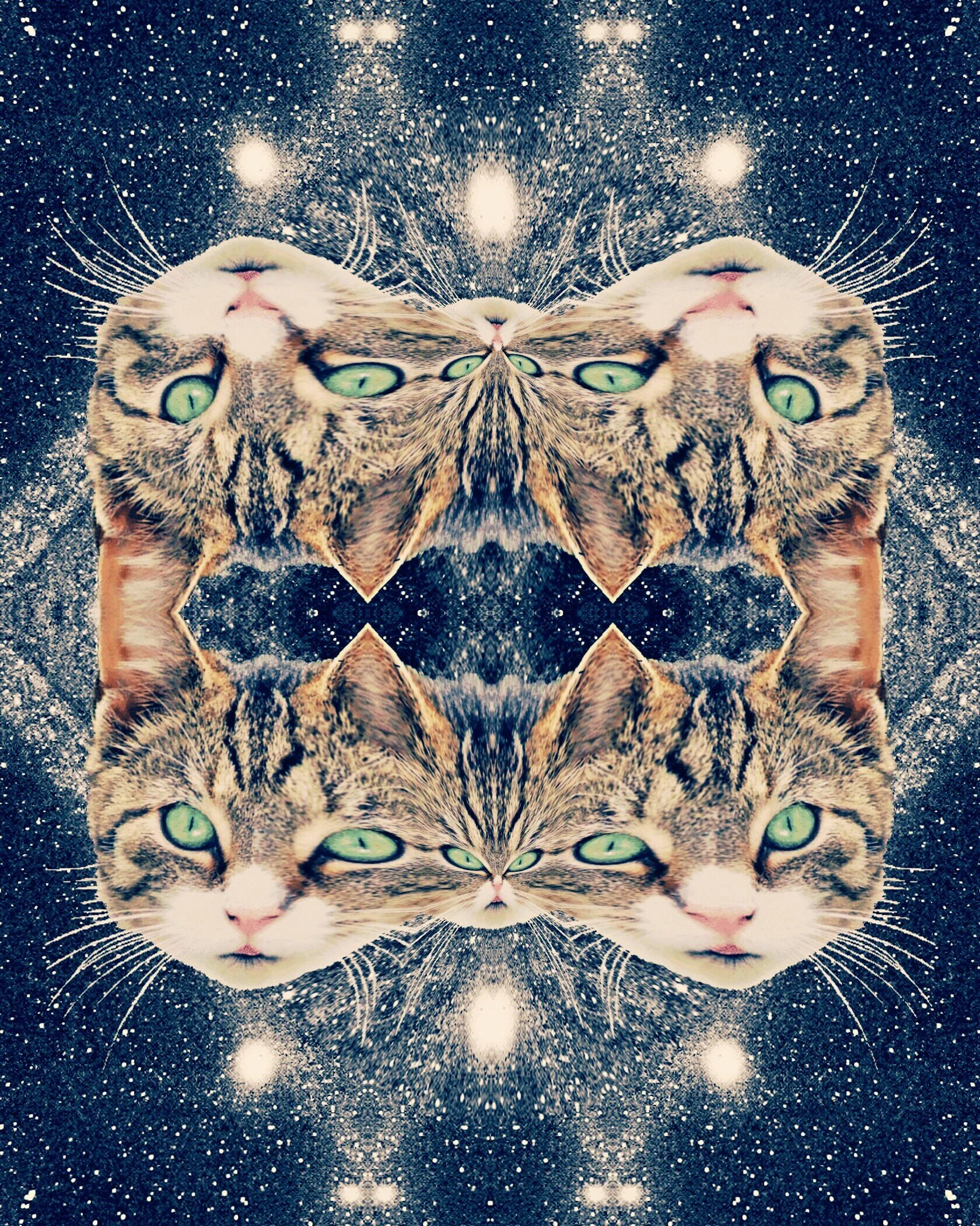 A mirrored image of a cat with green eyes, overlaid on a starry night sky background, creating a symmetrical, cosmic effect.