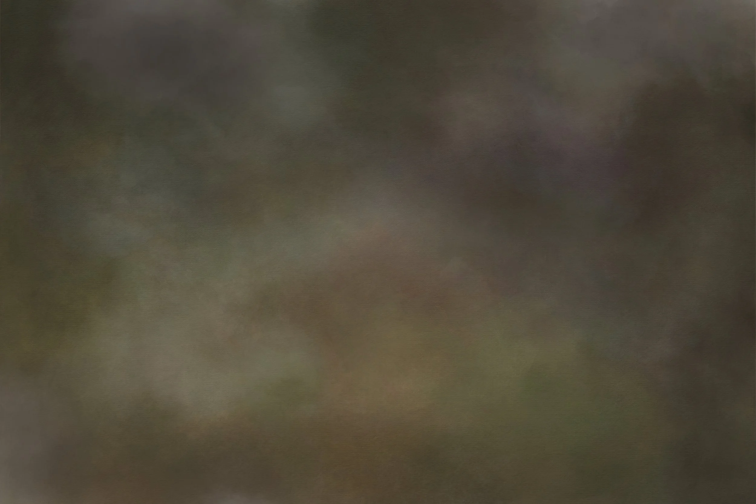 Moody Landscape Linen.jpg