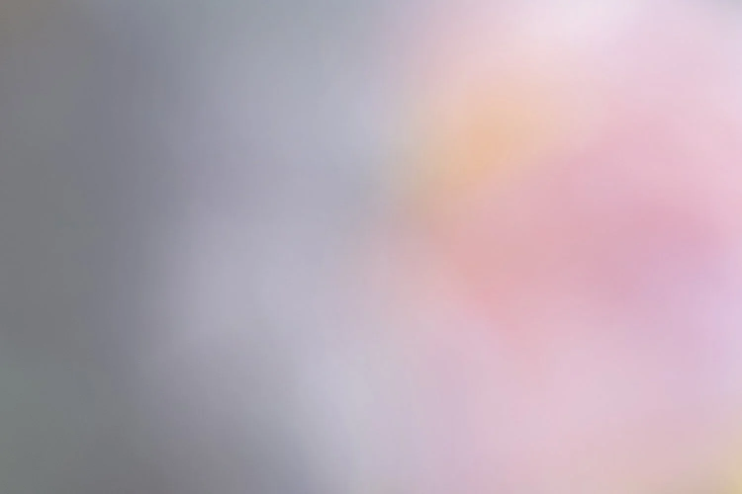 Pink Ice.jpg