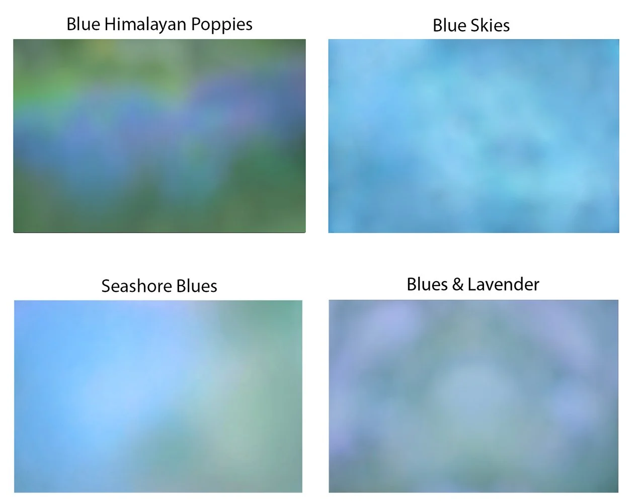 Cool Blue Collection