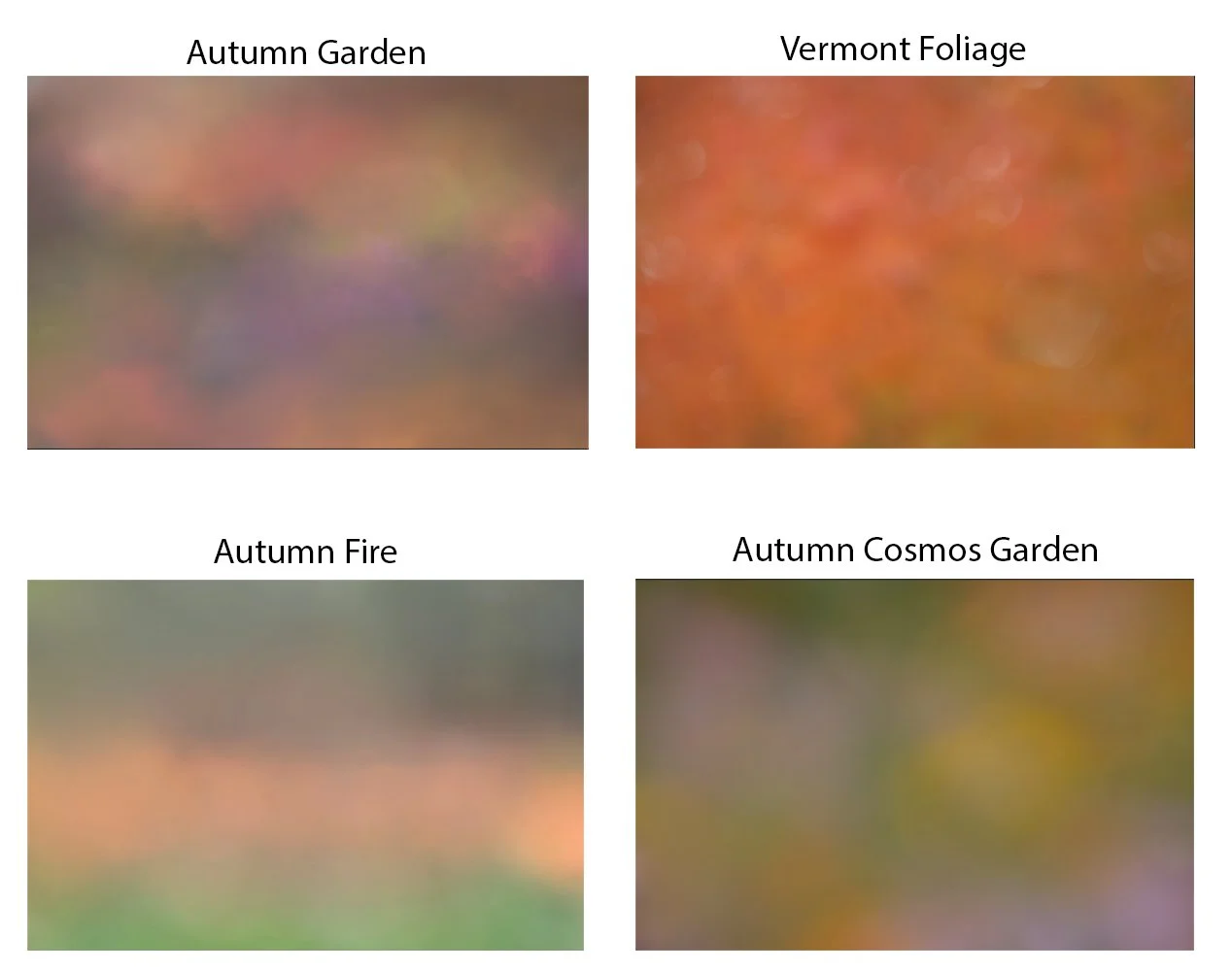 Autumn II Collection