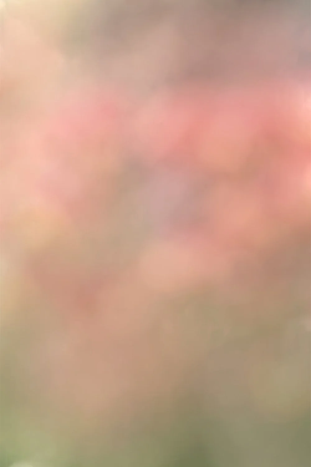 Peach Impatience (P).jpg