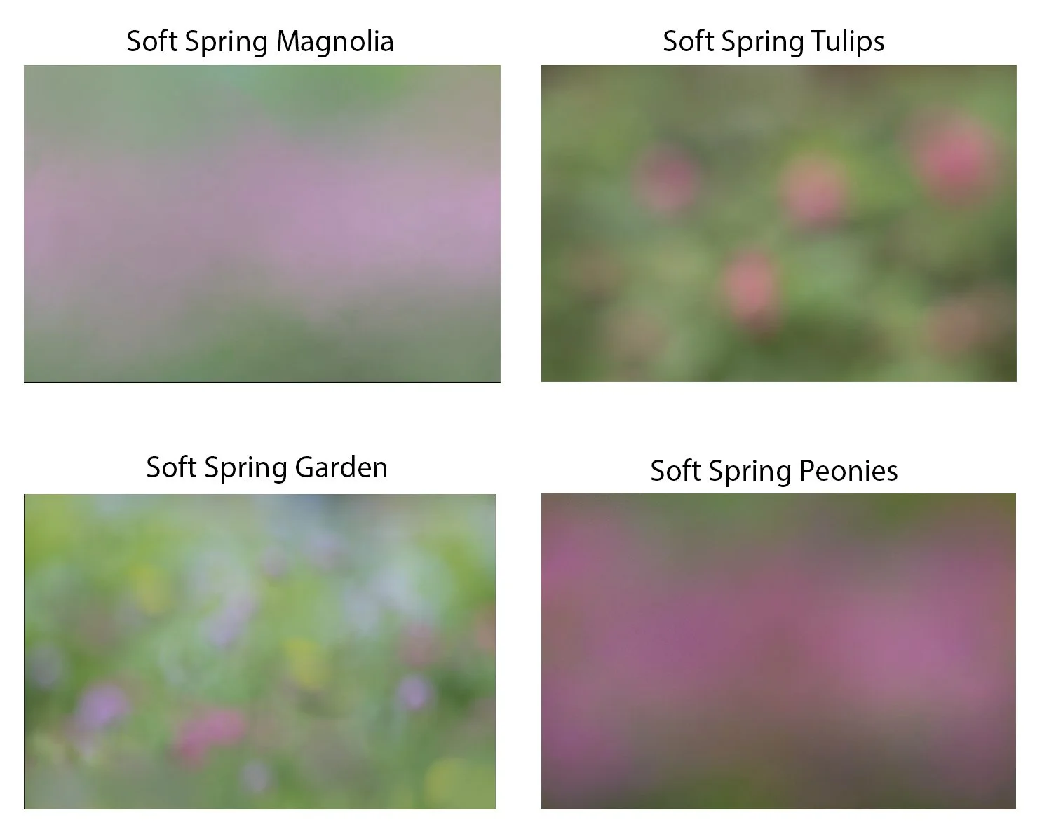 Spring I Collection