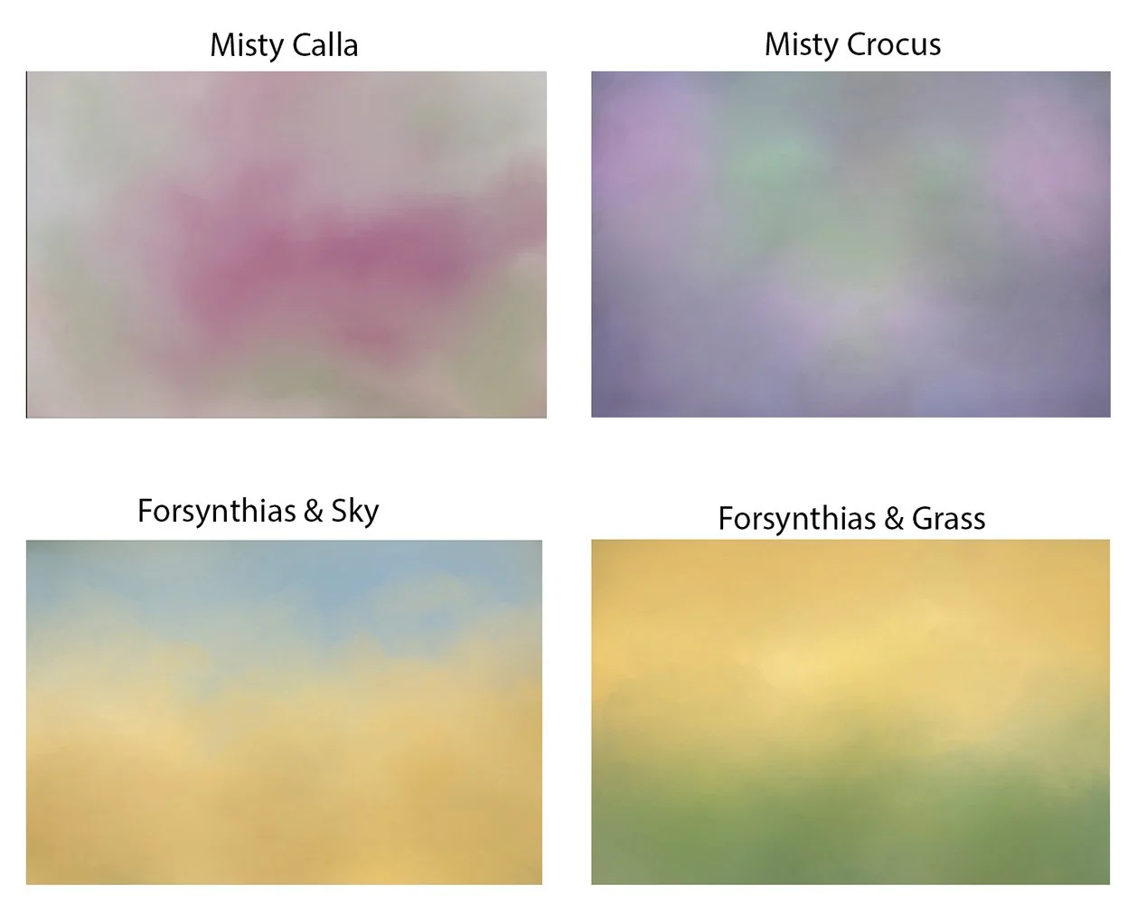 Spring II Collection