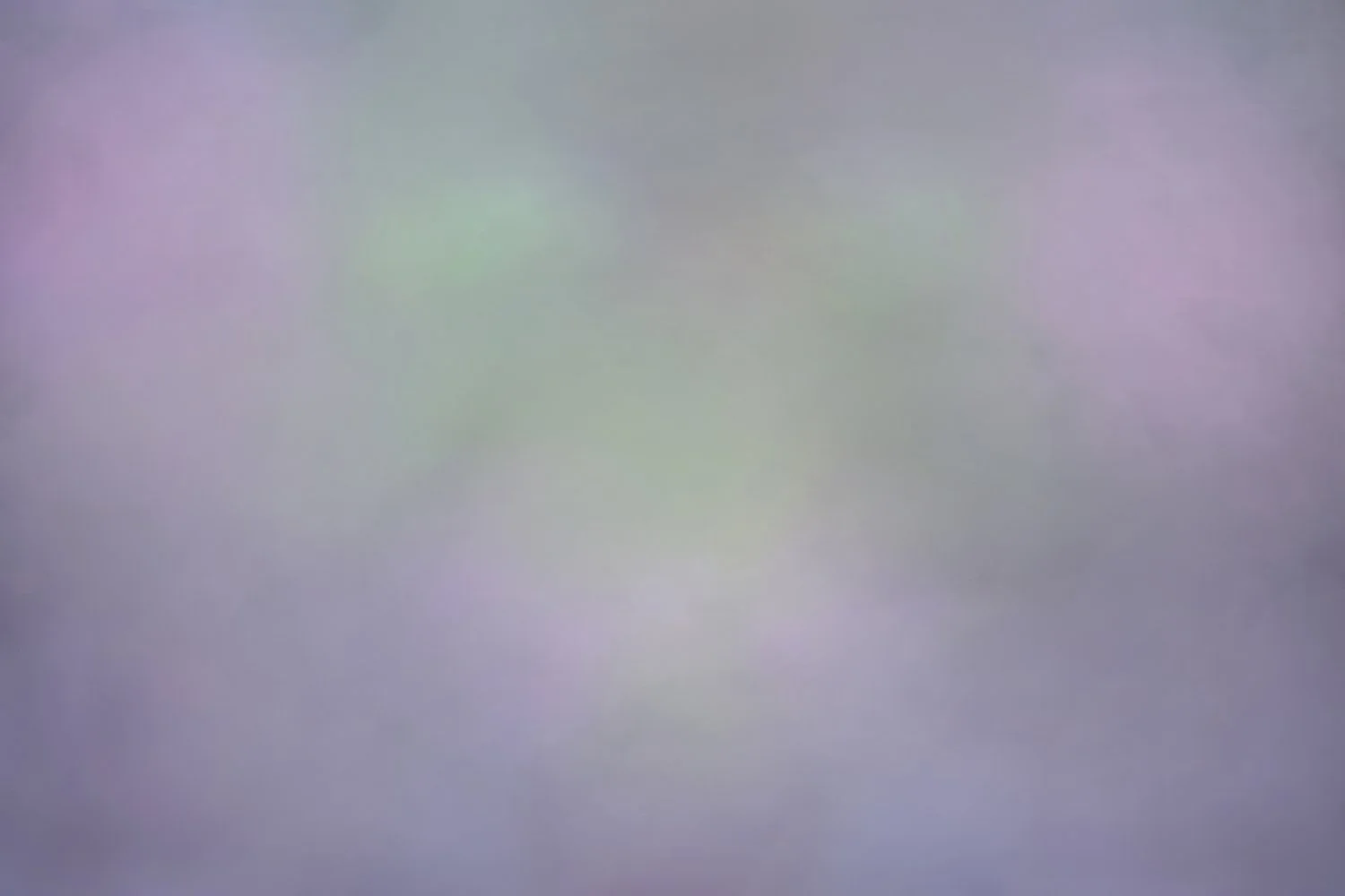 Misty Crocus.jpg