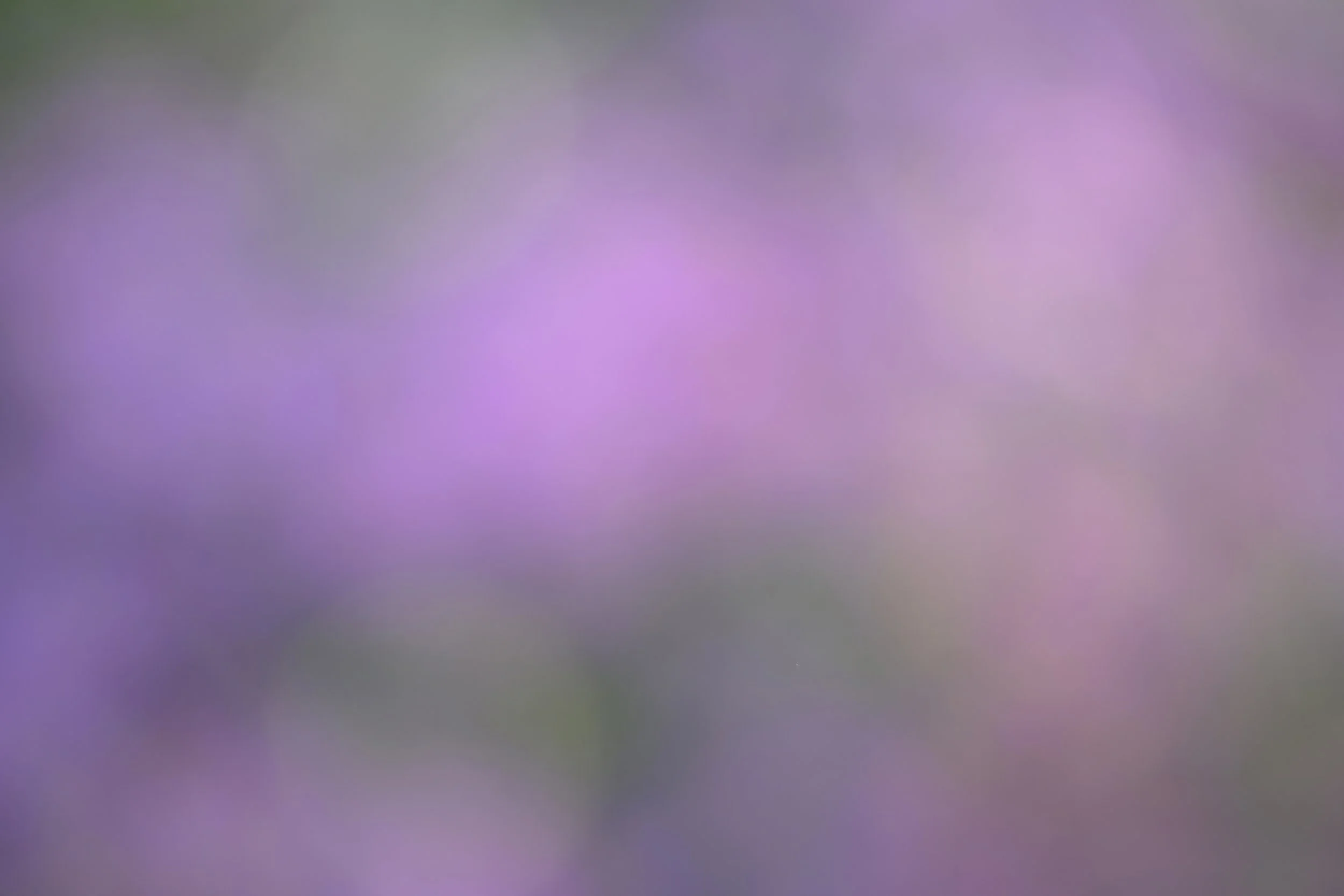 Thank You for Attending ** FREE ** Texture