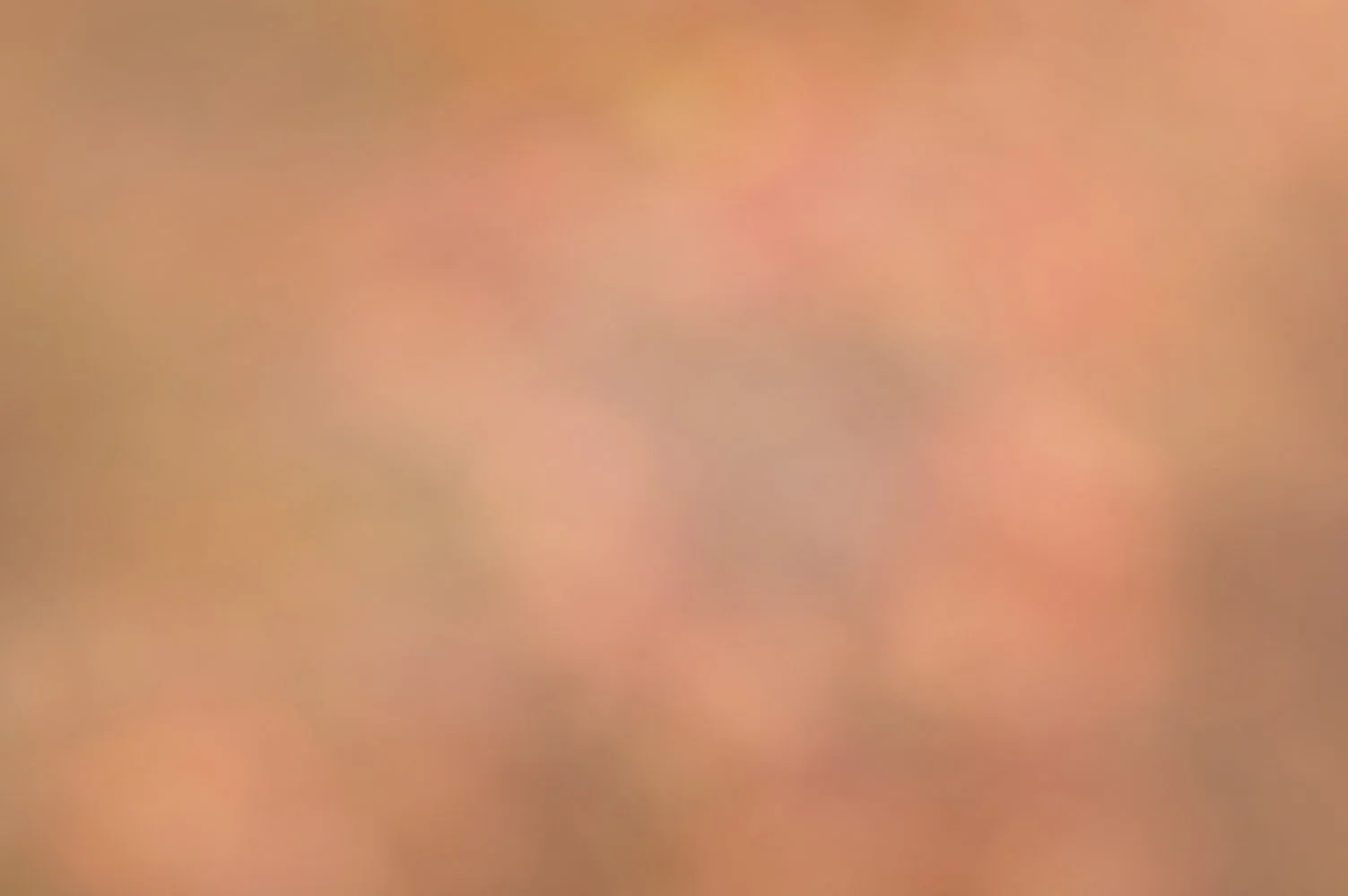 Autumn Perfection.jpg