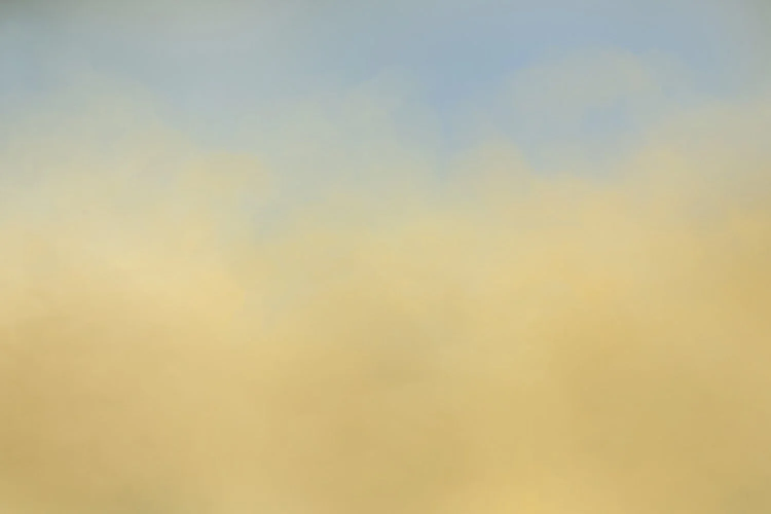 Forsynthias & Blue Sky.jpg