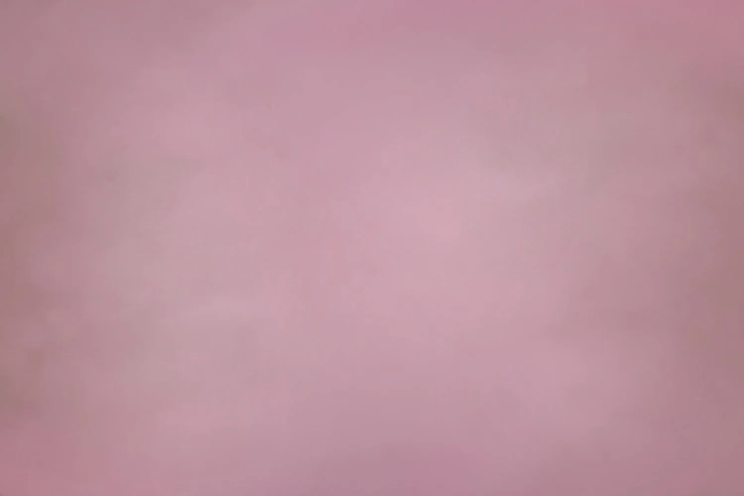 Pink & White Dahlia.jpg