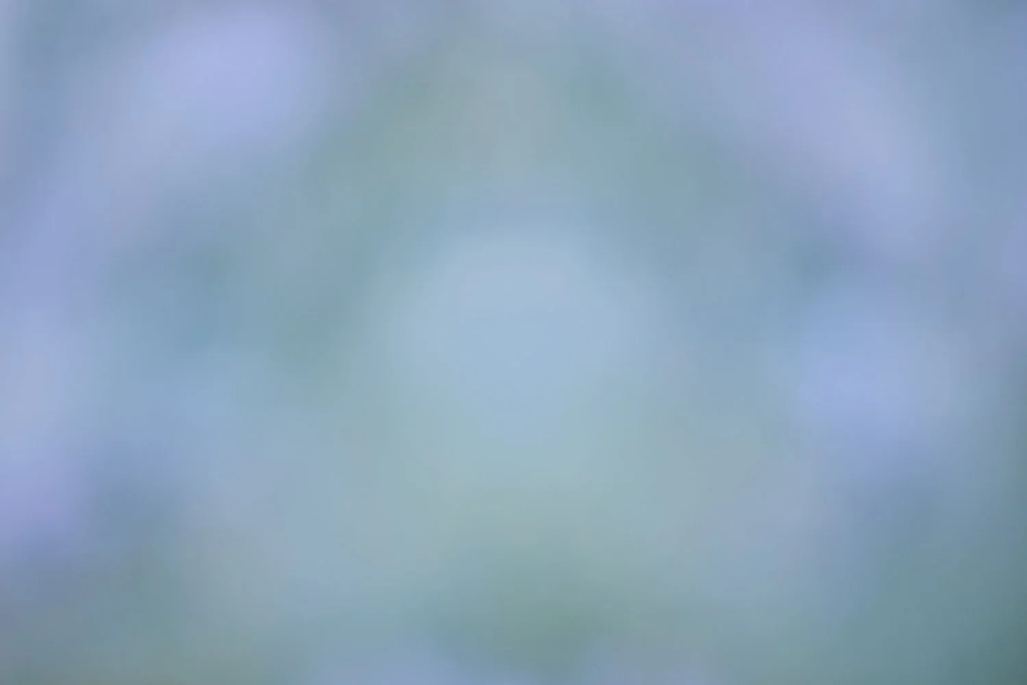 Blues & Lavender.jpg