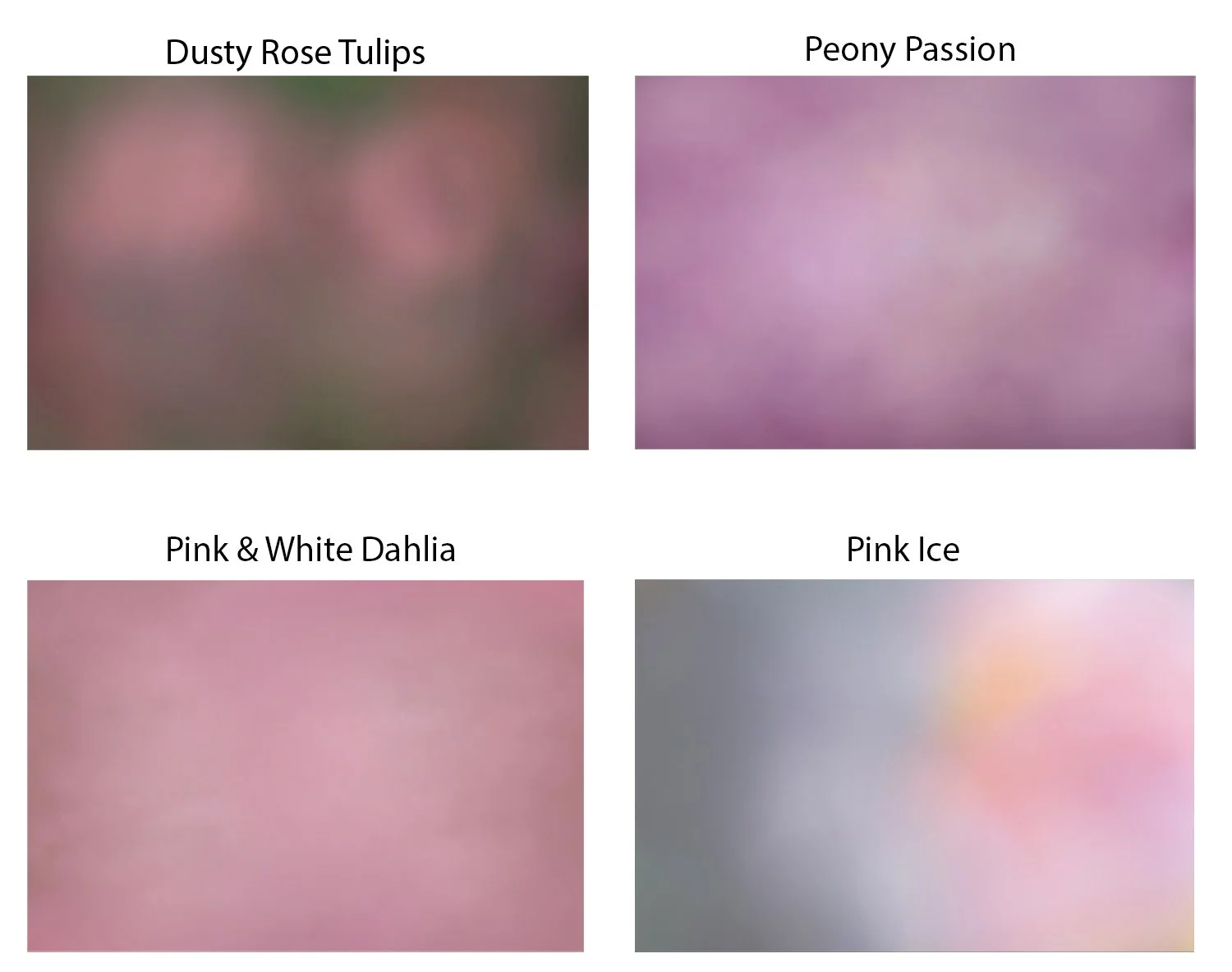 Pretty Pinks Collection