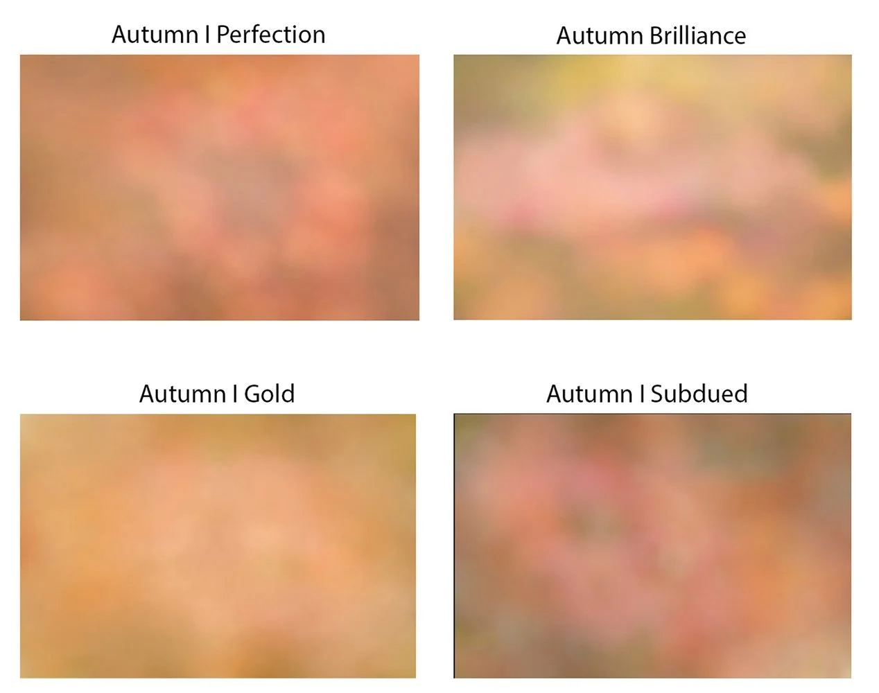Autumn I Collection
