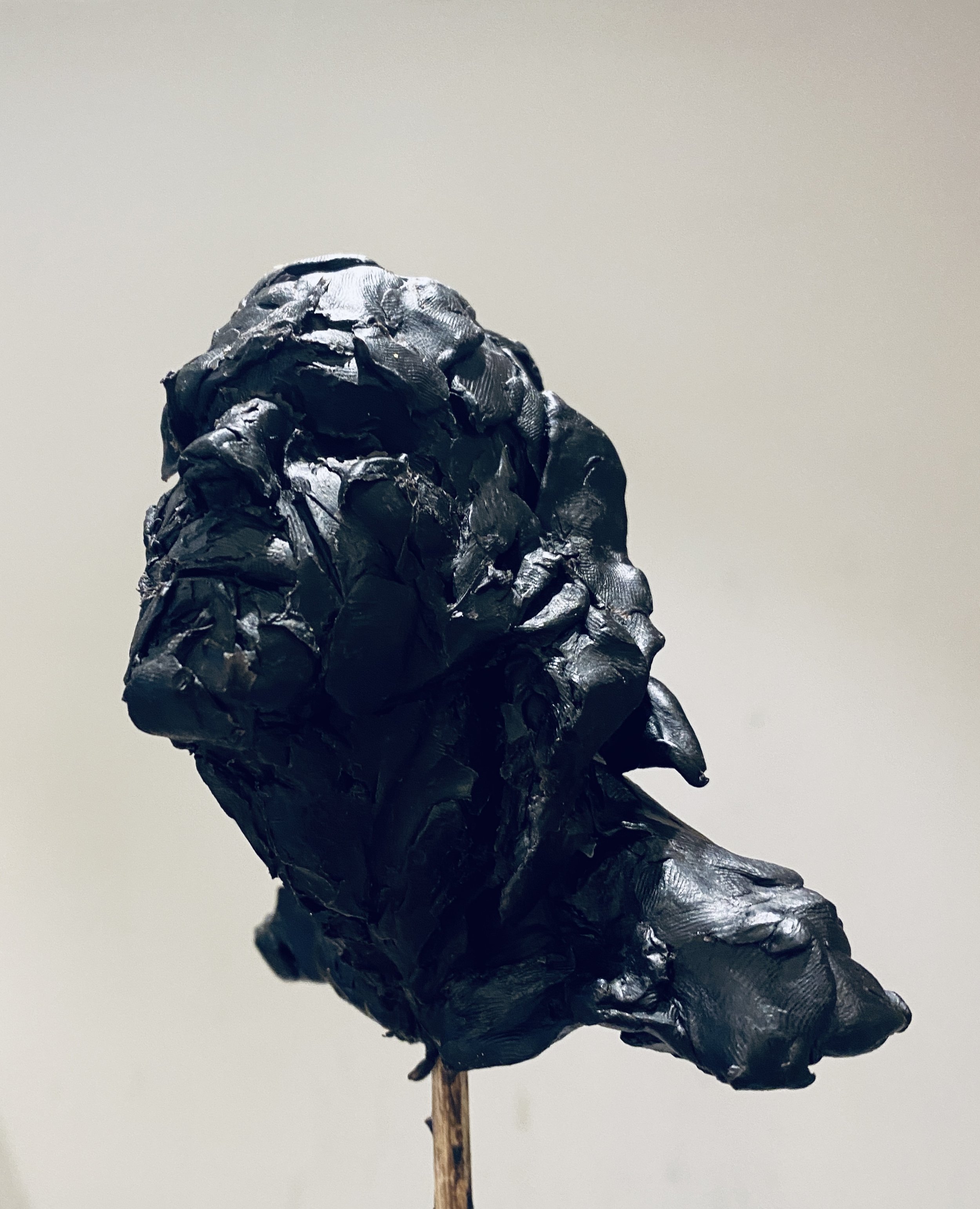 A small black bird sculpture made of crumpled paper or foil, mounted on a thin wooden stick, against a plain light background.