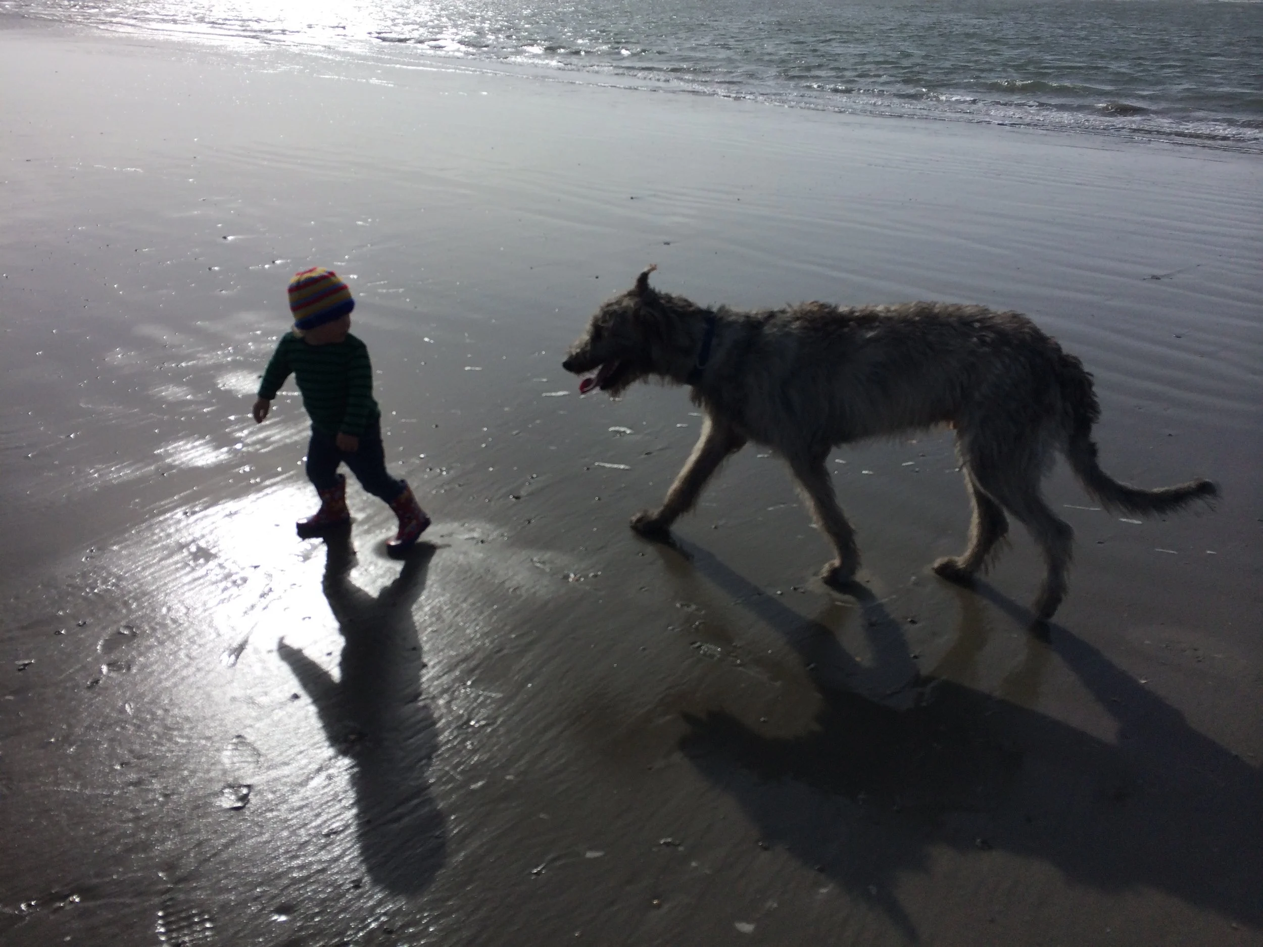 A young child wearing a colorful knitted hat, green and black striped shirt, and rain boots, walking on the wet beach near a large dog with curly fur, as the ocean waves gently roll onto the shore under cloudy sky.