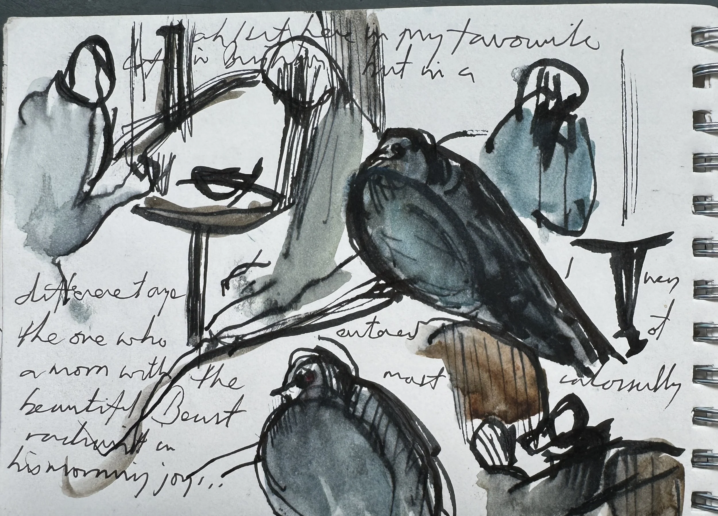 Sketch of a person’s hands holding a small bird with a background of handwritten text and watercolor washes.