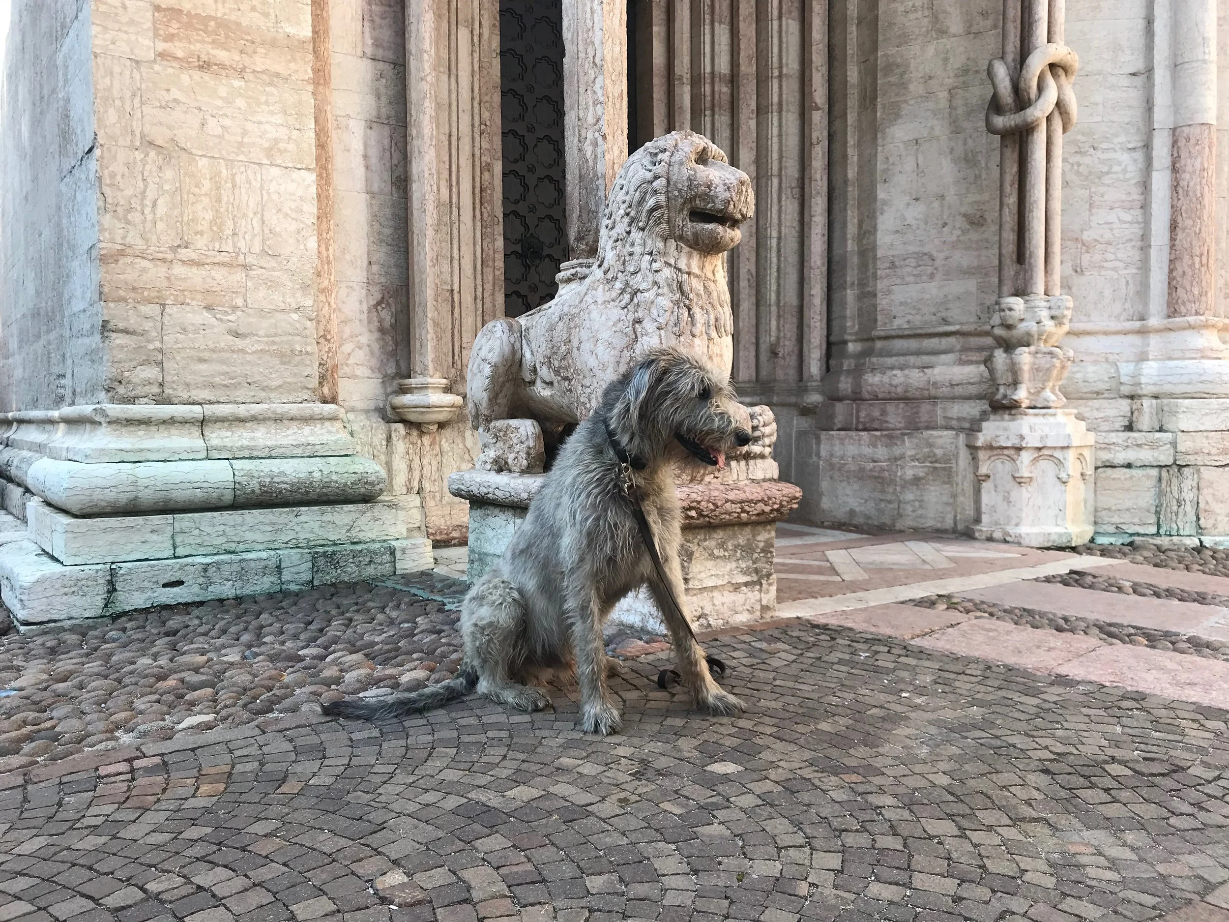 A stone lion sculpture is positioned next to a building with classical architecture, including columns and ornate details. A dog with glasses sits in front of the lion, and the ground is made of cobblestones.