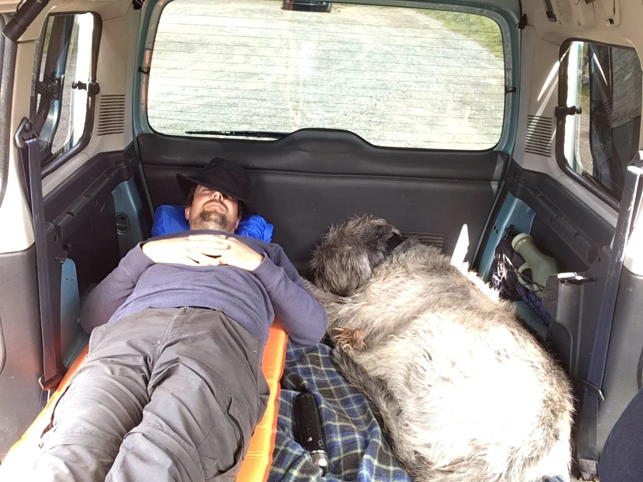 A man lying down on a cot in the back of a vehicle, with two large dogs sleeping beside him. The man is wearing a hat and has his eyes closed.