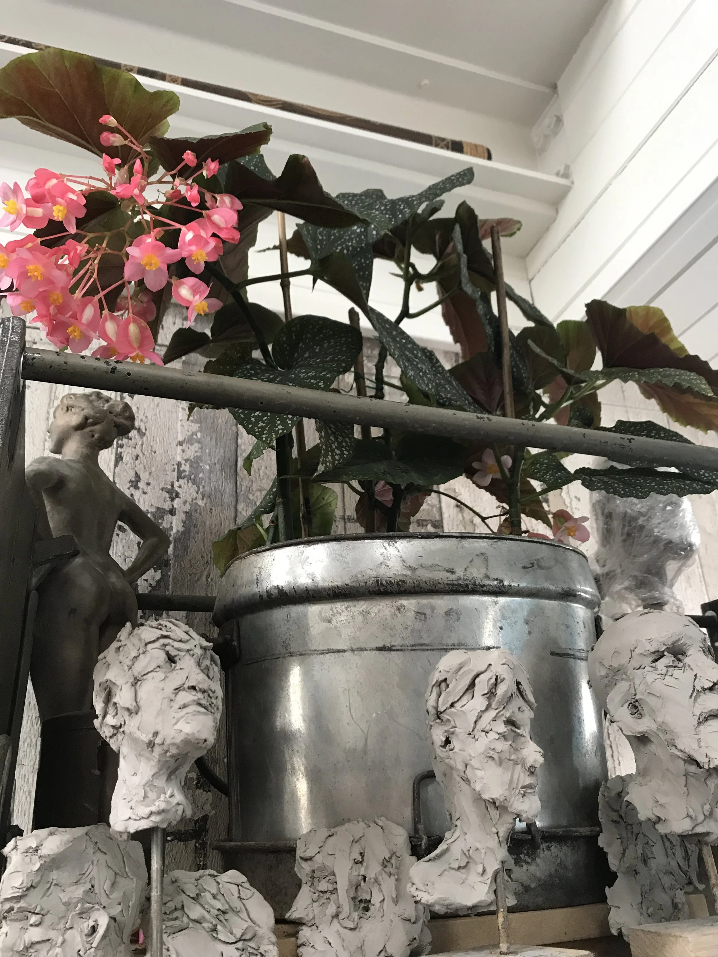 A plant with pink flowers and large dark green leaves in a silver pot, surrounded by white sculpted decorative objects, and a small gray statue of a boy standing on a black surface near a textured wall, with a white wooden wall and a white shutter wi