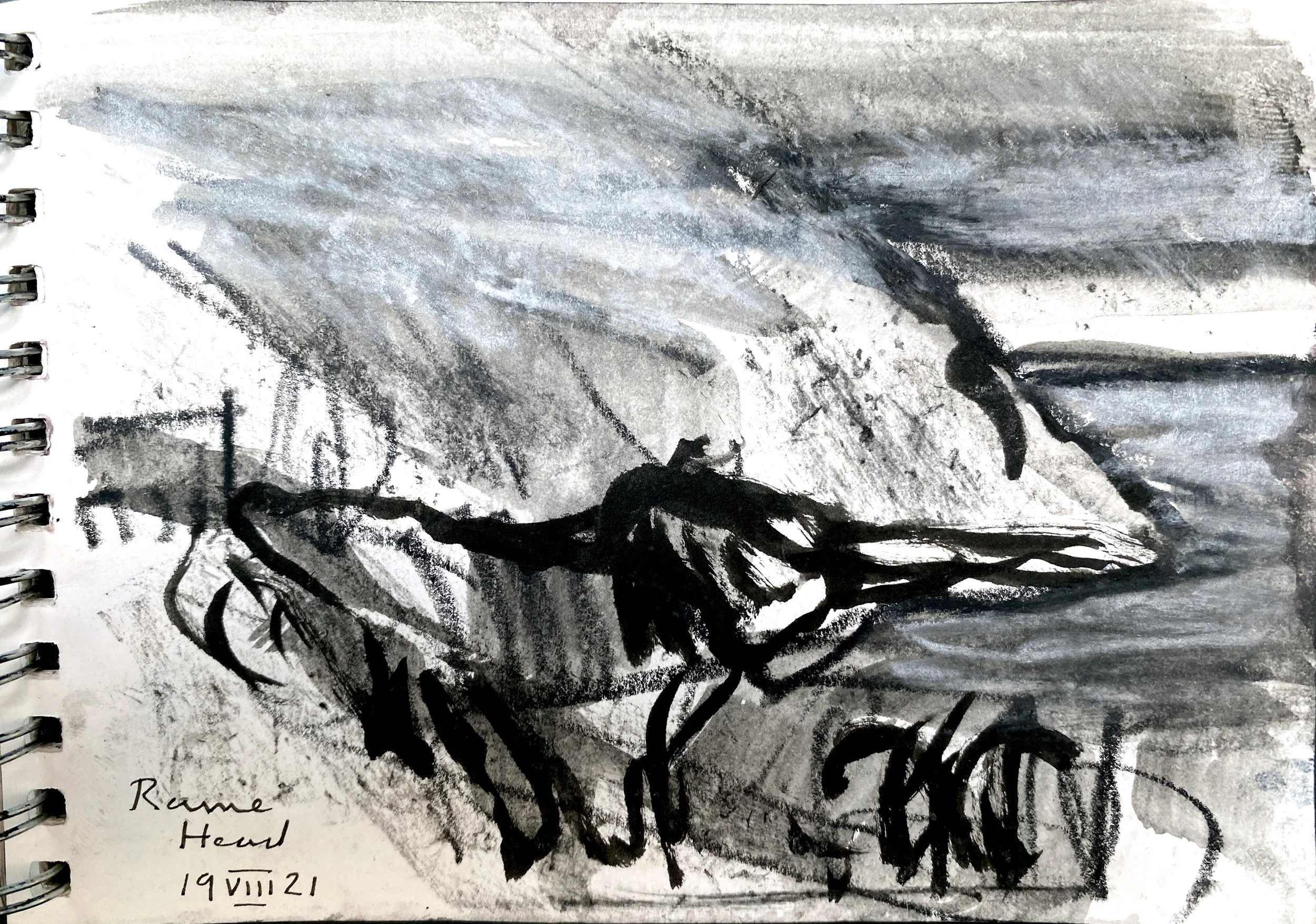A sketch of black, curly hair with ash and black shades. The drawing is on a page of a spiral-bound sketchbook, with the date '19 VIII 21' and the written words 'Reame Head' visible at the bottom left corner.
