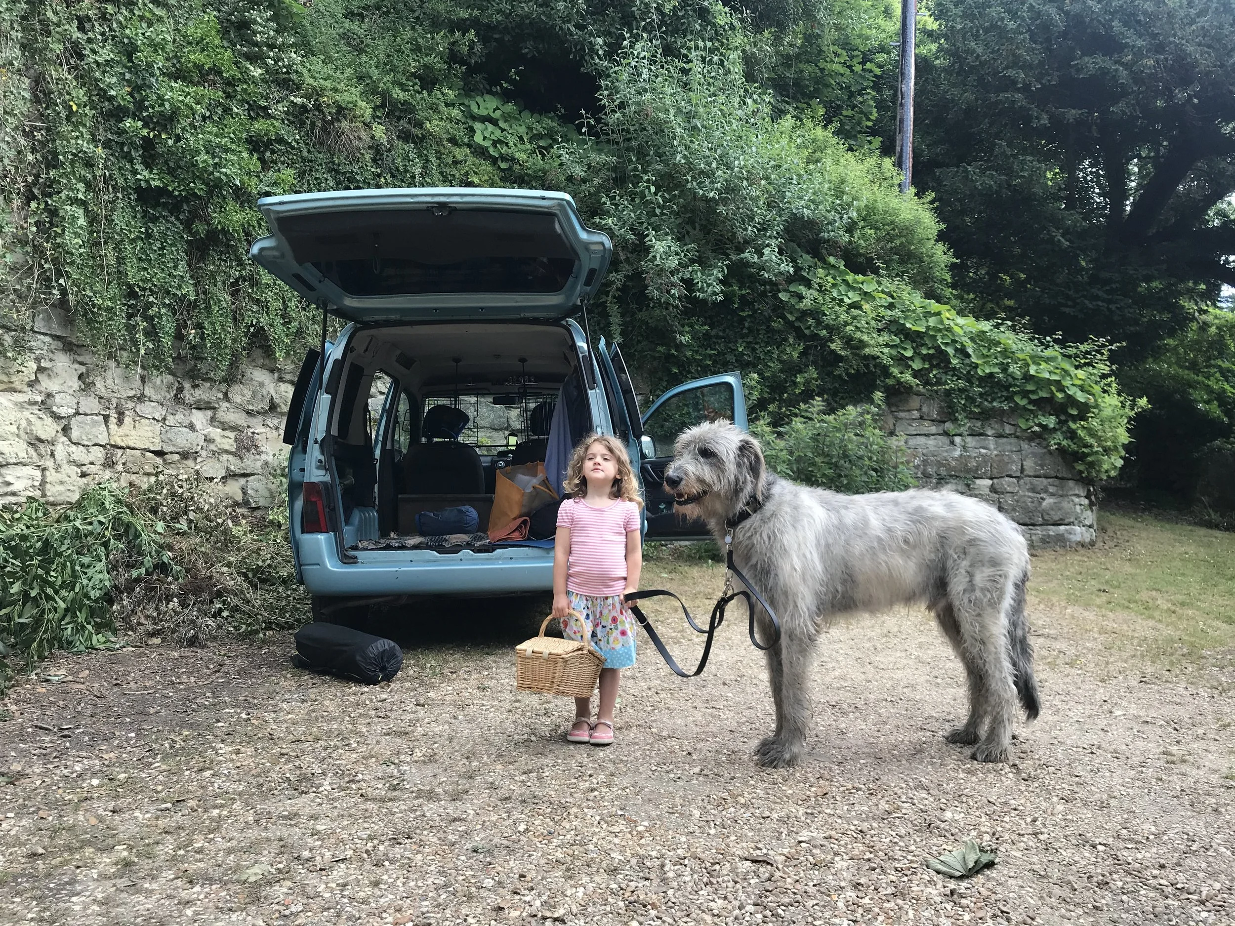 A young girl in a pink and light blue dress holding a wicker basket stands next to a large, fluffy gray dog on a leash. They are outdoors near a forested area with a stone wall and a blue van with its back open, revealing various items inside.