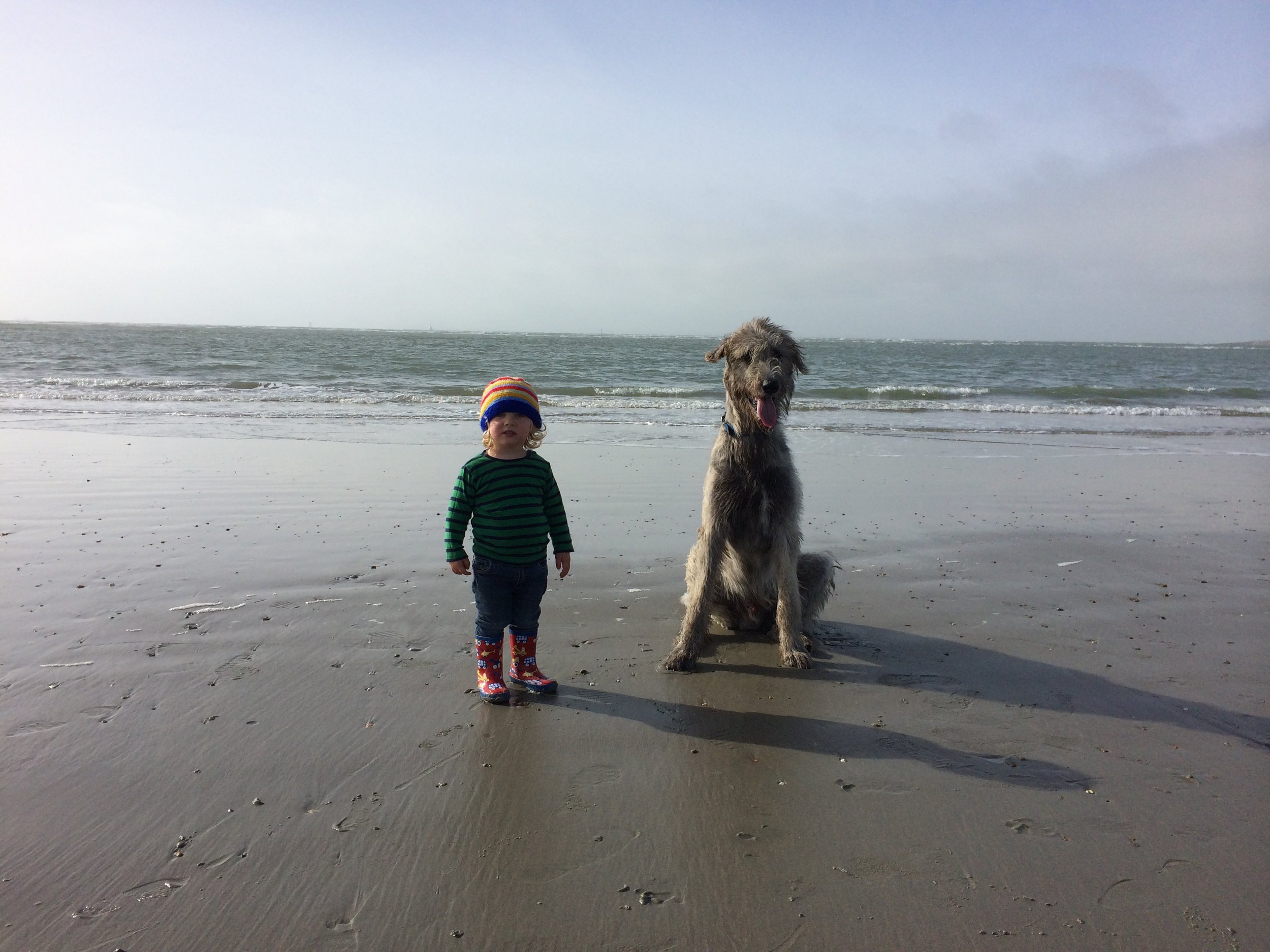 A young child wearing a colorful striped beanie, green and black striped sweater, jeans, and rain boots with a star pattern, standing on a sandy beach next to a large grey dog, with the ocean and cloudy sky in the background.