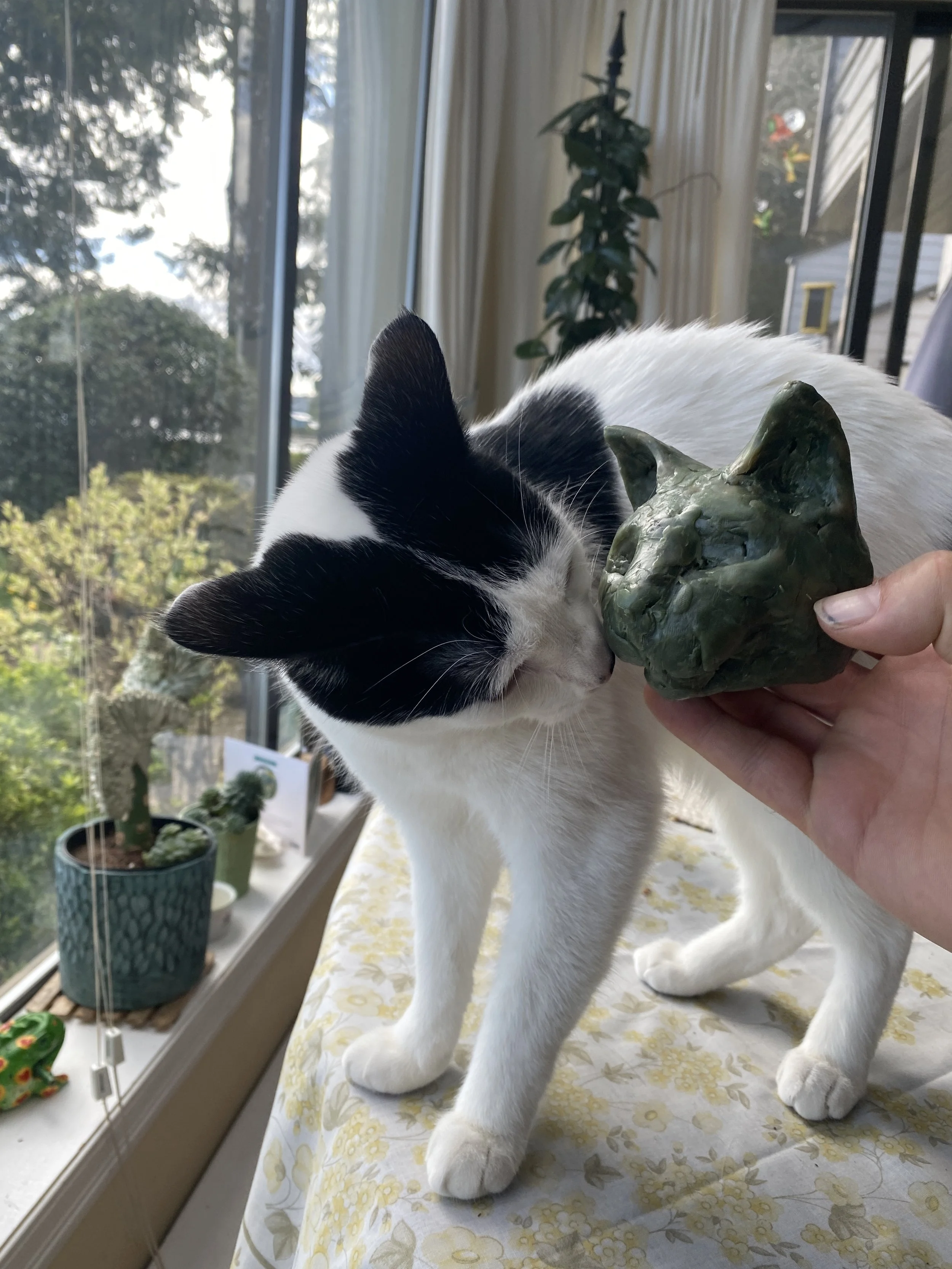 A black and white cat with closed eyes and pink nose is sniffing a greenish ceramic sculpture of a cat's head, held near its face by a hand. The setting is indoors near a window with a view of trees outside, and there are potted plants on the windows