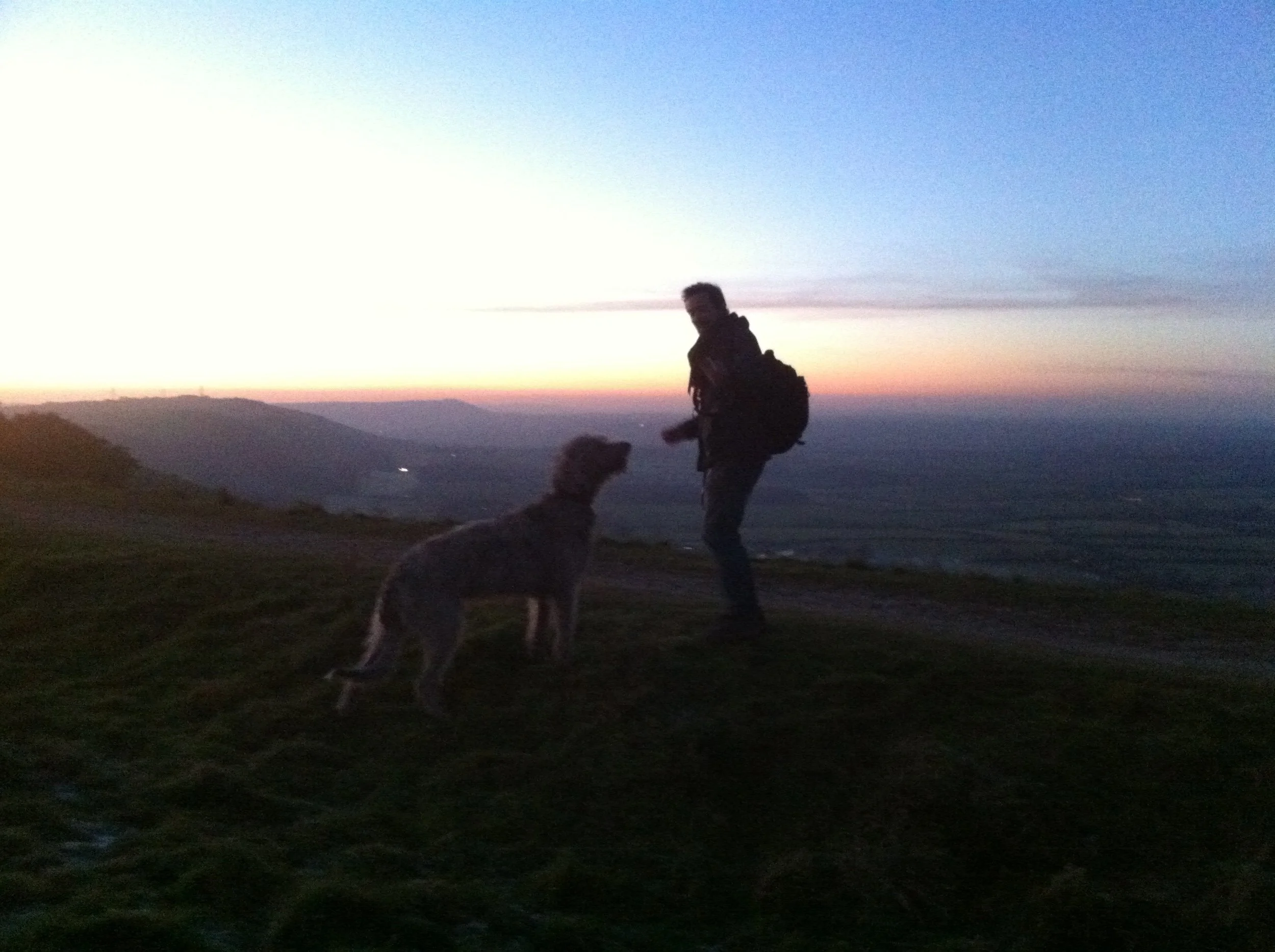 A person with a backpack and two dogs standing on a hillside at sunset, overlooking a valley.