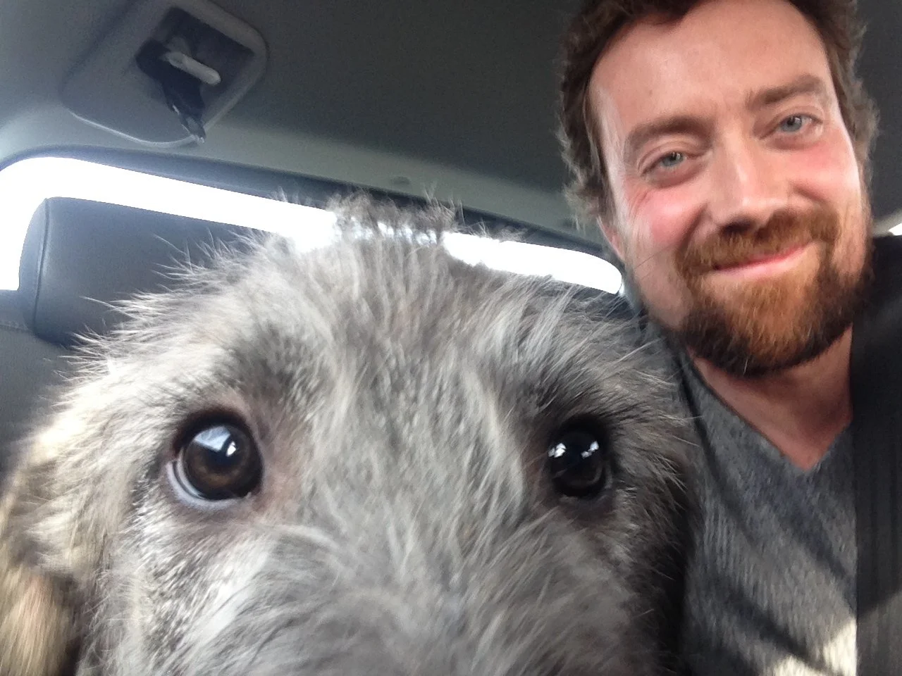 A man and a dog taking a selfie in a car. The man has a beard and smiling, while the dog has gray fur with black eyes.