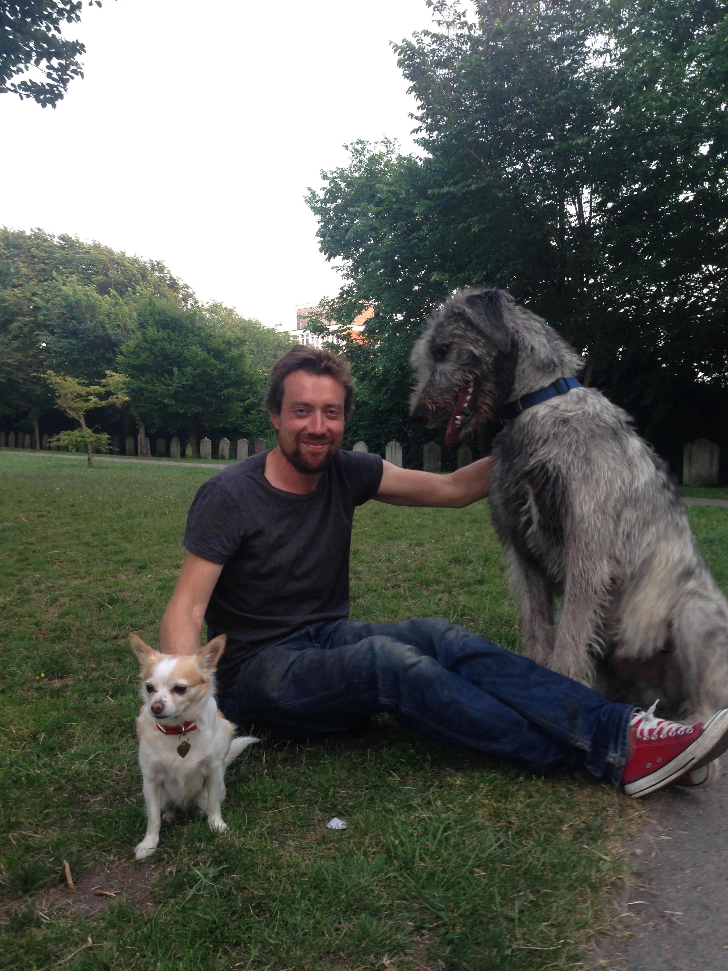A man sitting on the grass in a park with three dogs, one small white dog with tan markings and a red collar, and two large gray and black dogs, one sitting and one standing, with trees in the background and a cloudy sky.