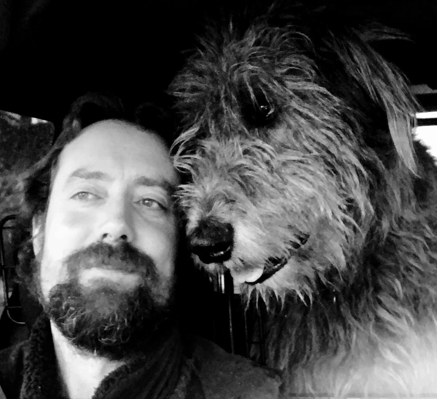 A man with a beard and mustache in a car taking a selfie with a large, fluffy dog with a curly coat and dark eyes.