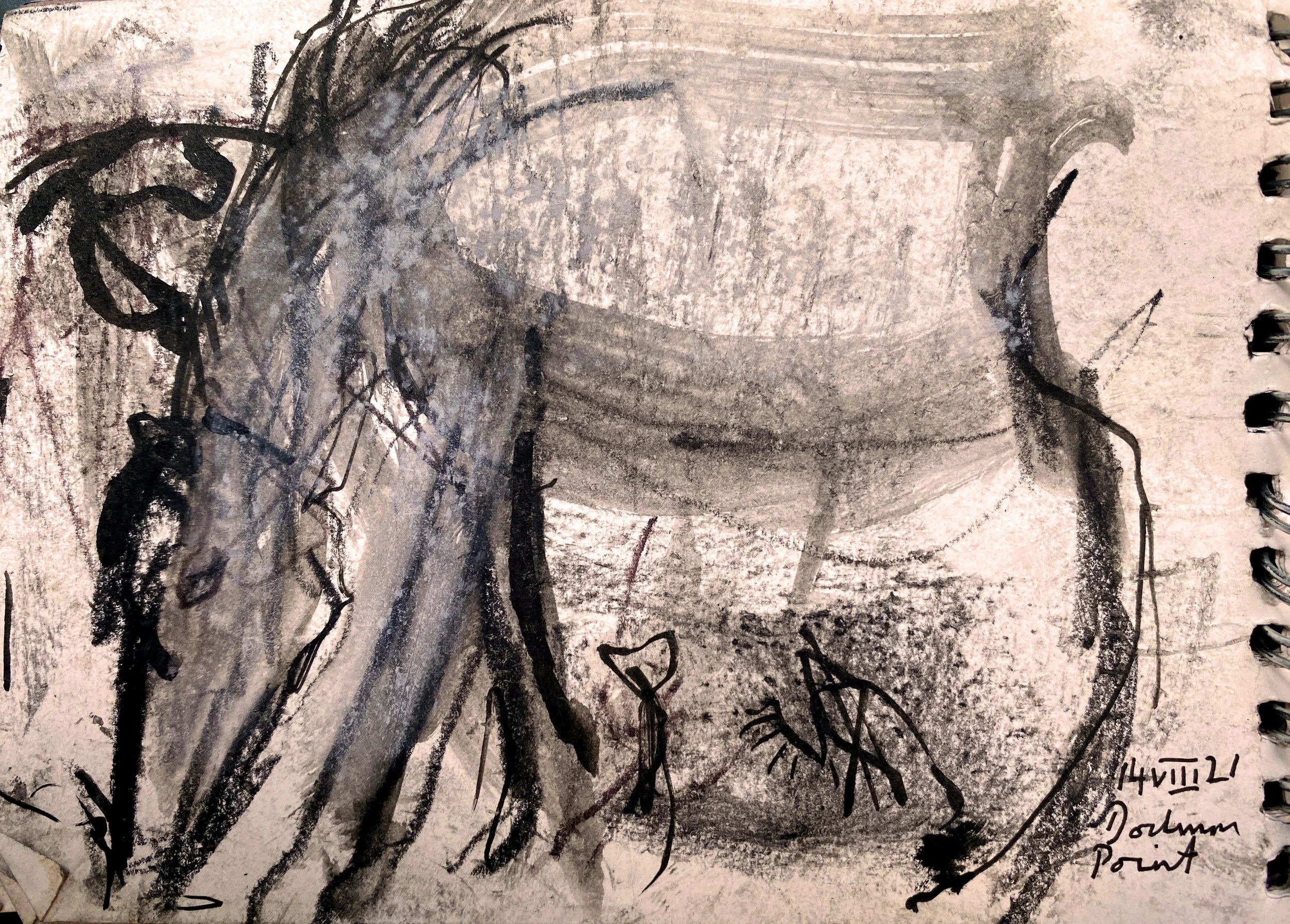 A sketched portrait of a person with long hair, drawn with black ink or charcoal on a spiral notebook page. The drawing is rough and expressive, with large, dark strokes. There are some handwritten notes and numbers in the bottom right corner of the 