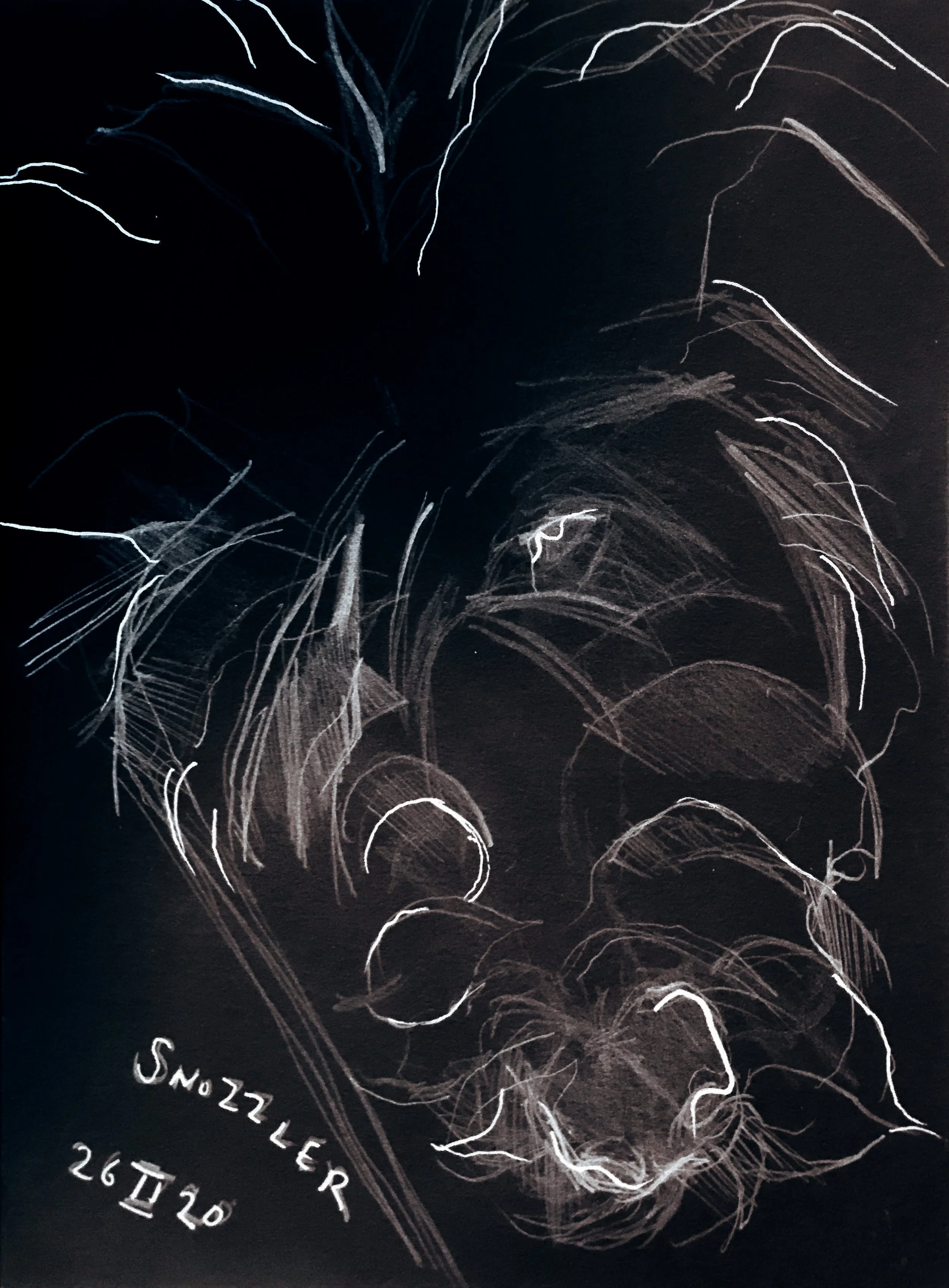 A chalk sketch on a black background depicting a human brain with various labeled parts and dates, including '26 II 20'. Some visible writing includes 'SM... Z LE R'.
