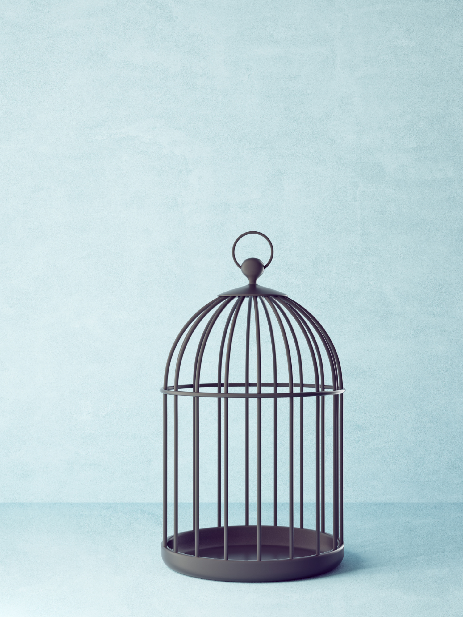 empty bird cage with blue background