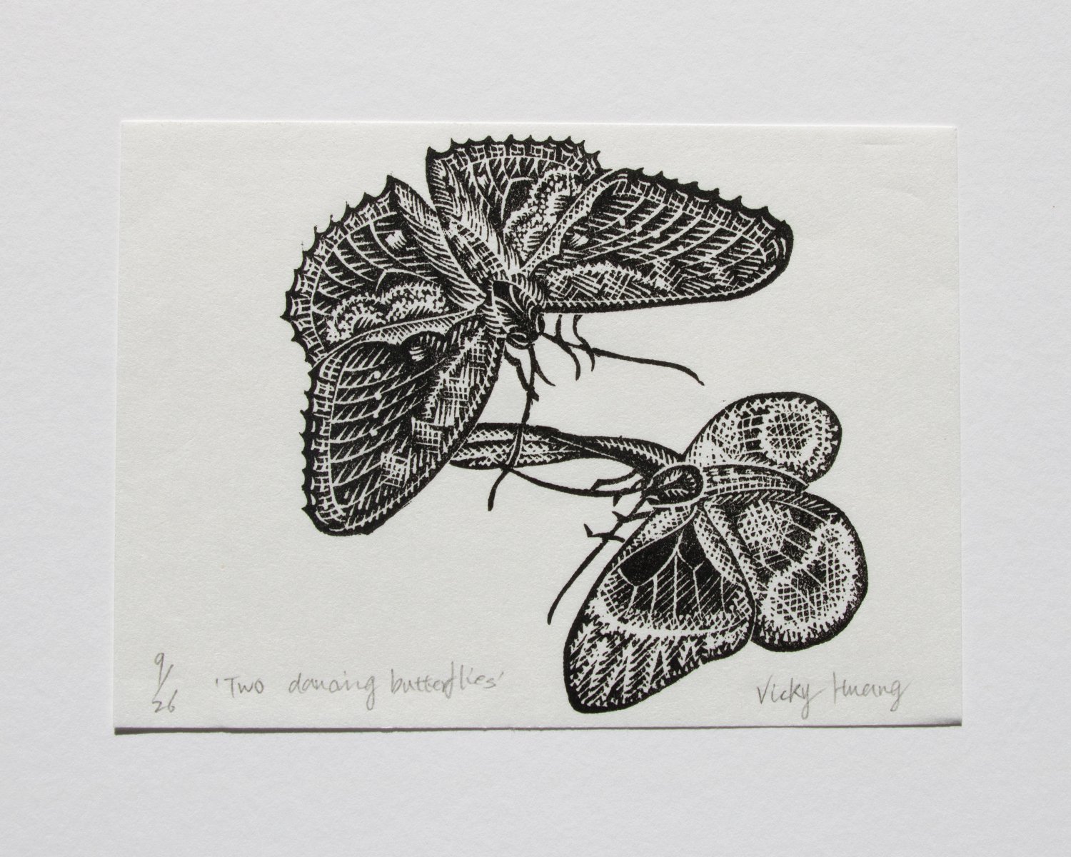 Two dancing butterflies