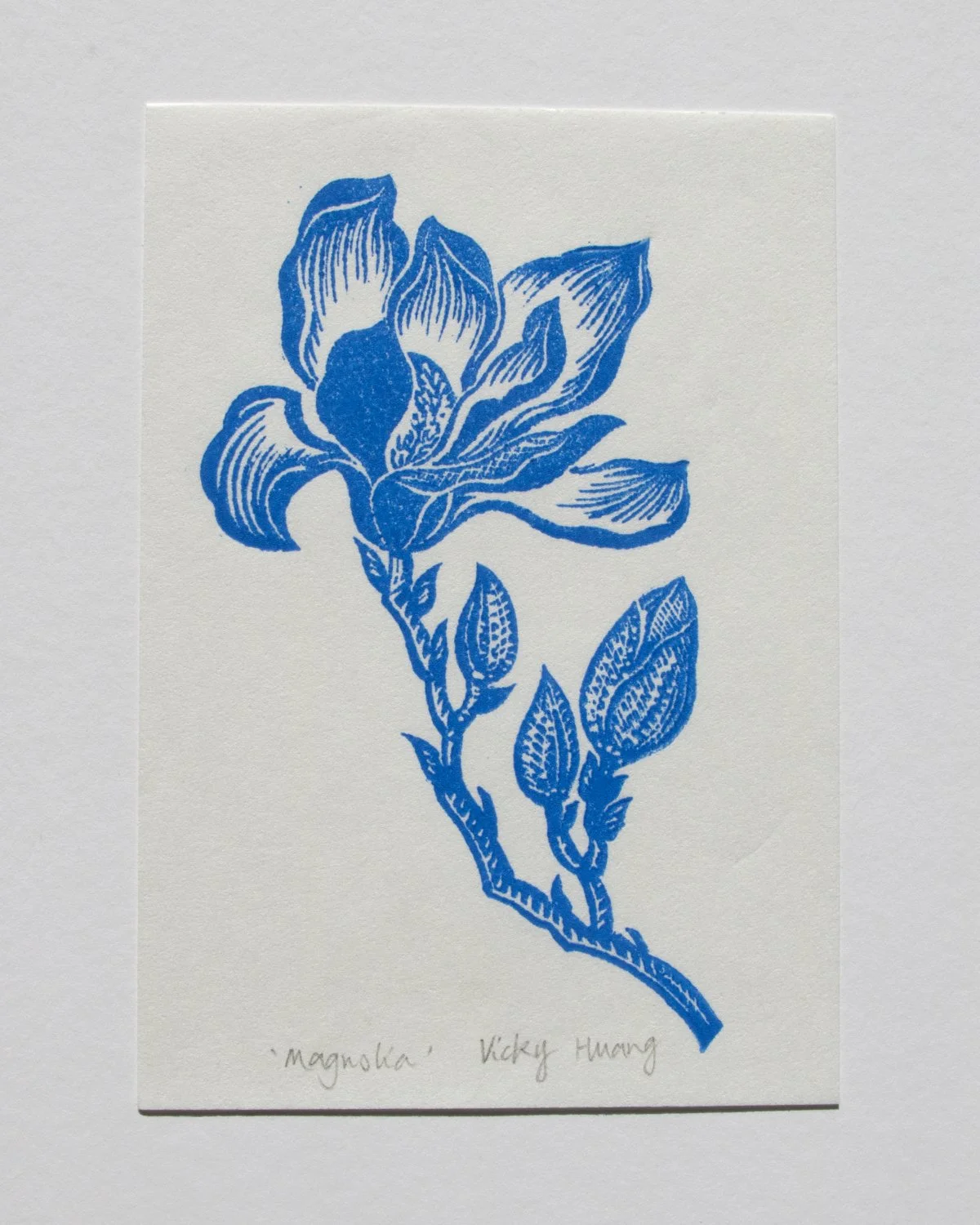 Magnolia