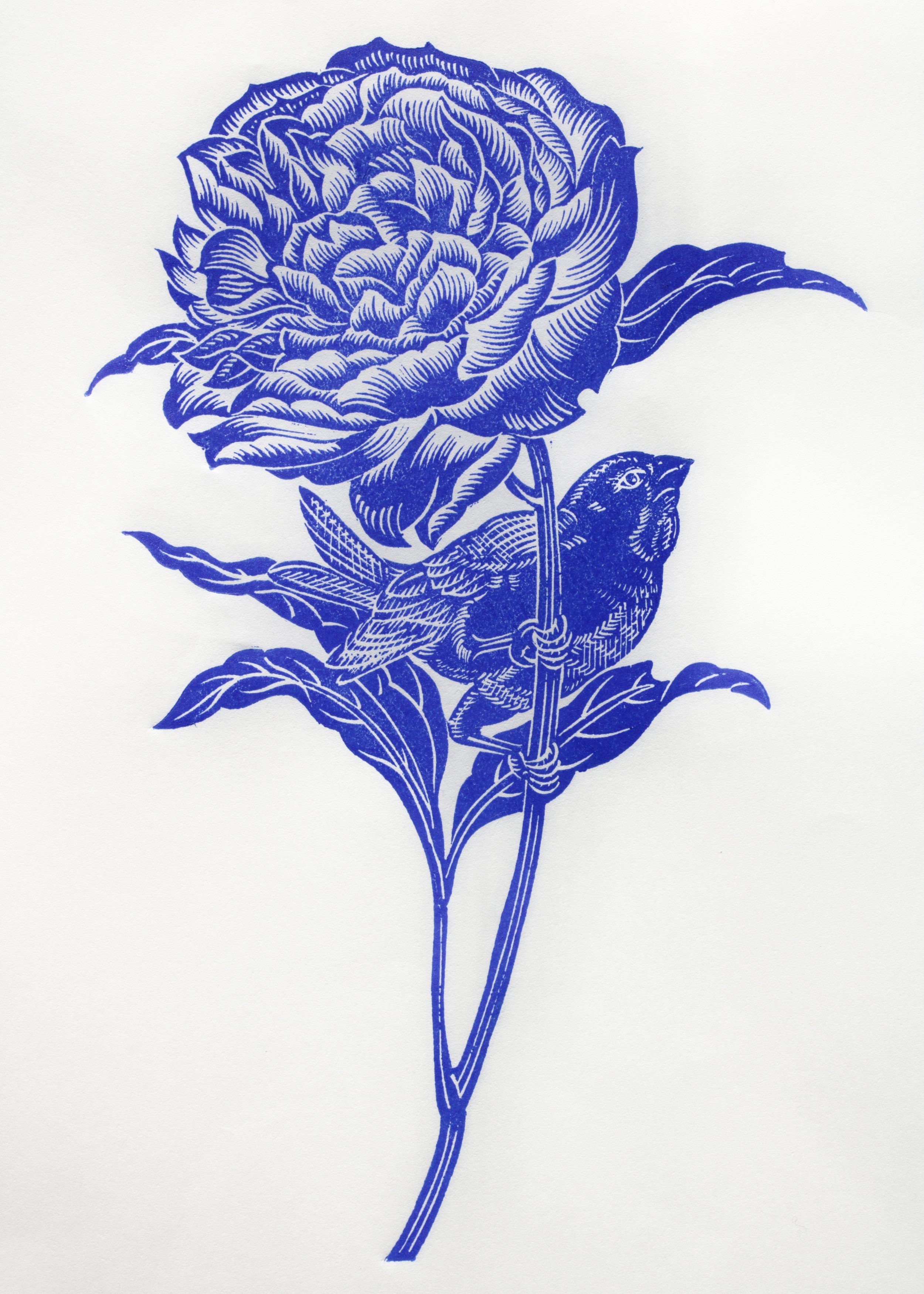 Sparrow and Peony