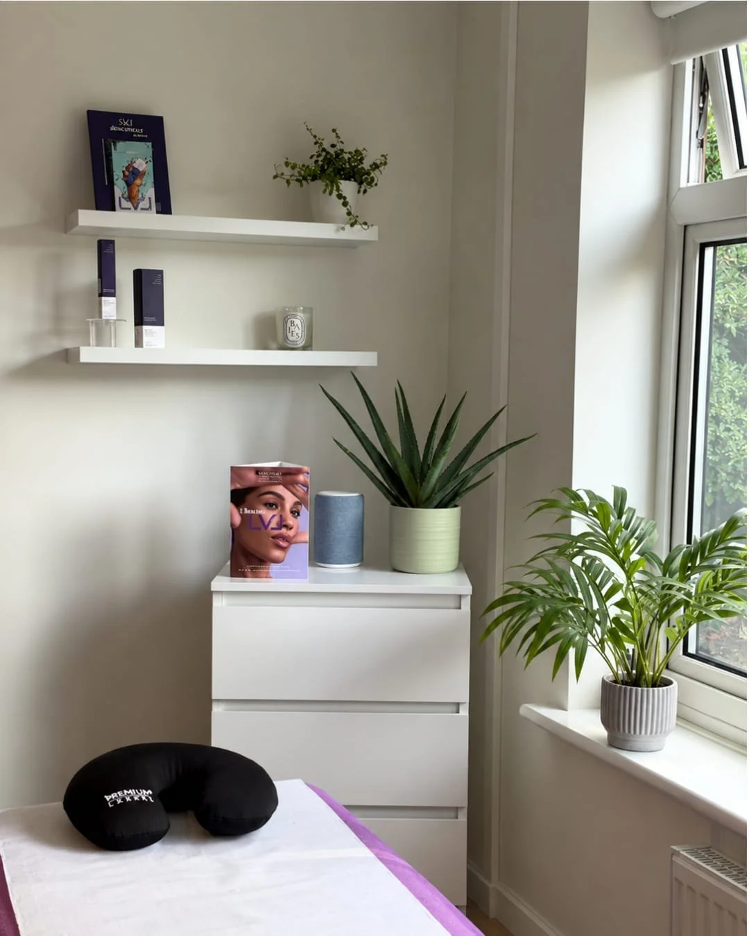 A corner of a room with two white shelves on the wall, a potted aloe vera plant on top of a white dresser, a magazine featuring a woman's face on the dresser, a gray speaker, a book, and a black travel pillow on a bed. There is a window with a view o