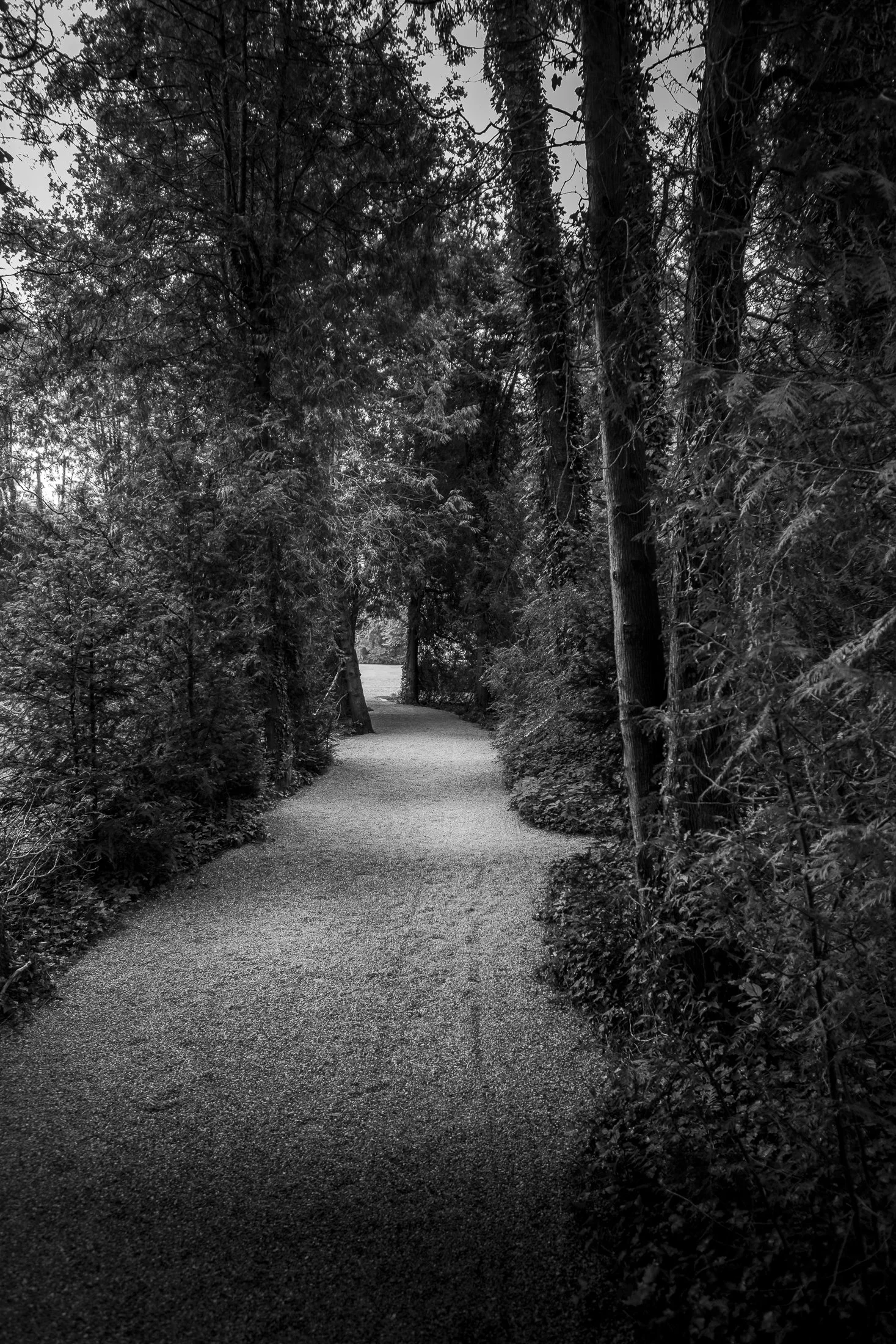 A Path of Remembrance web.jpg