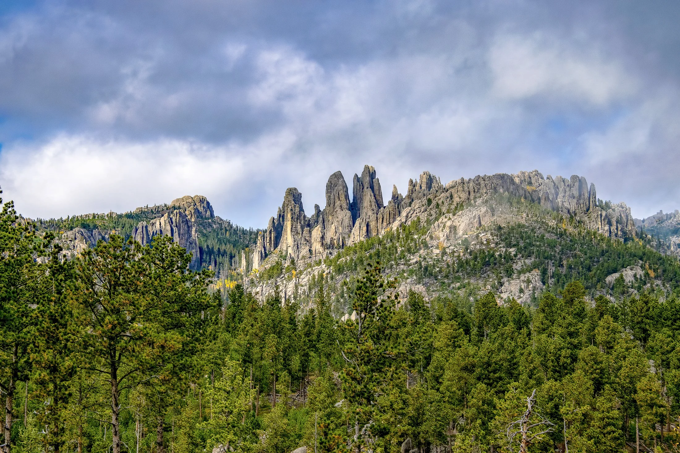 BlackHills222604web.jpg