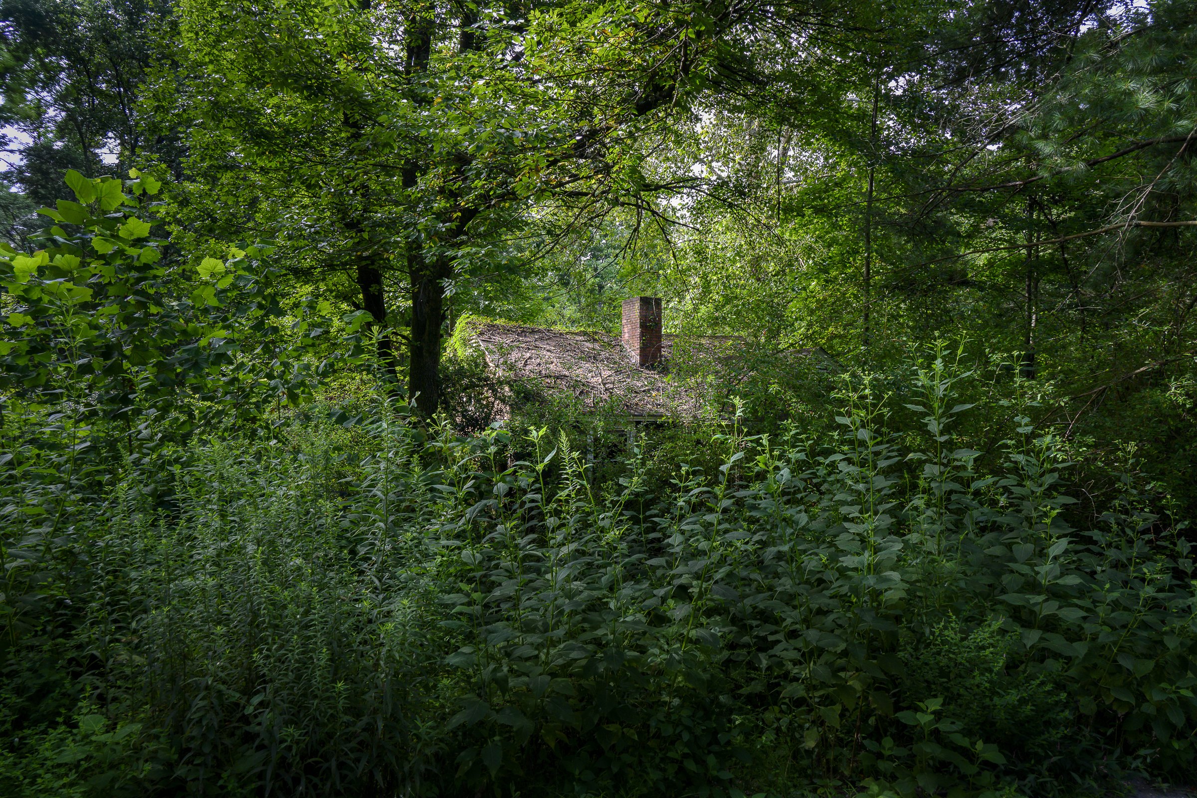 Currahee0841Web.jpg