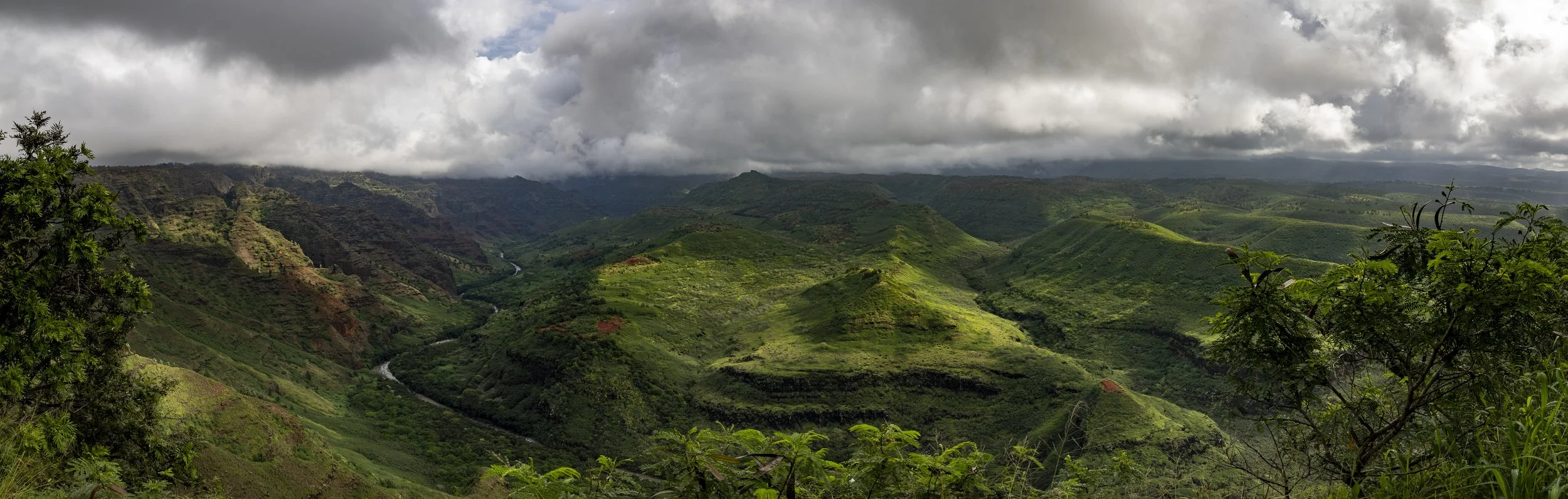 Waimea242280web.jpg