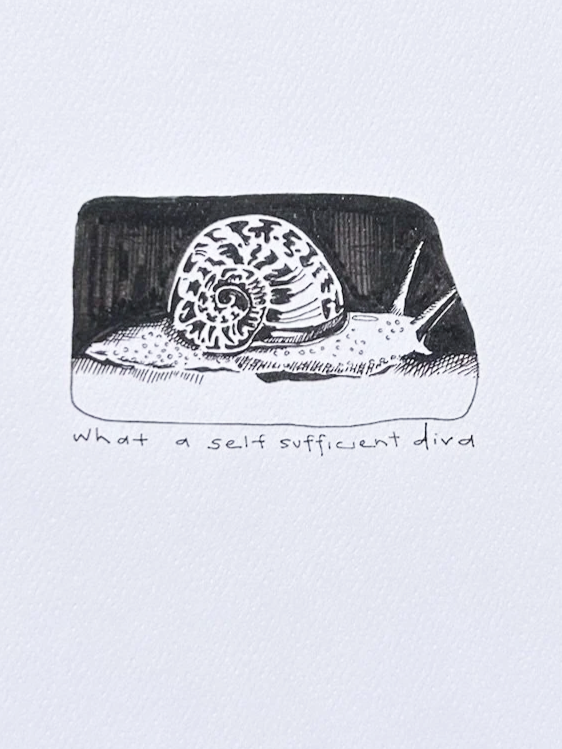 4583ECE3-8A7C-4DA5-B7B7-8B677AEF1E7D.png