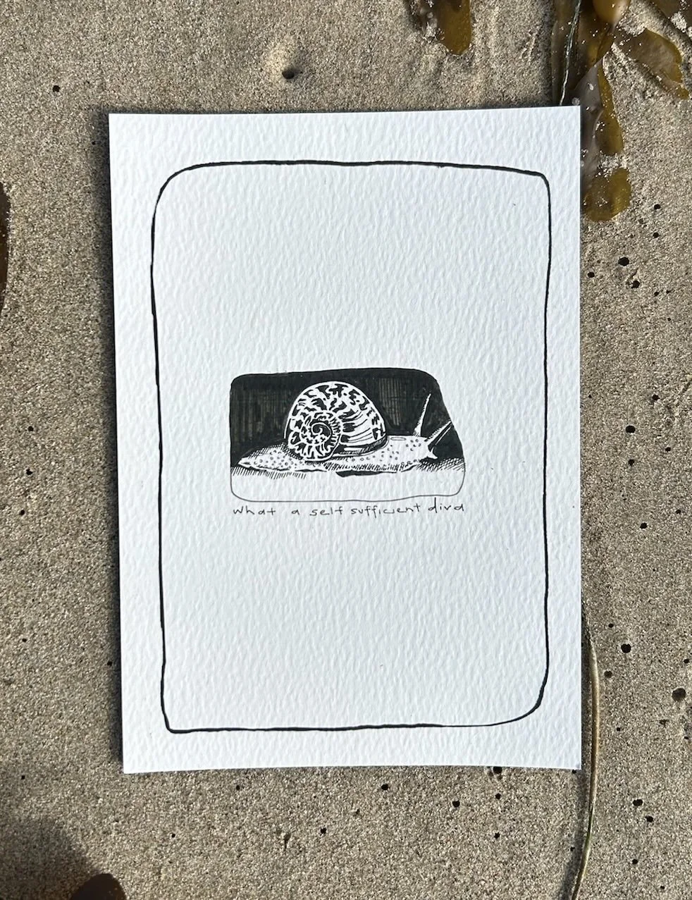 diva print.JPG