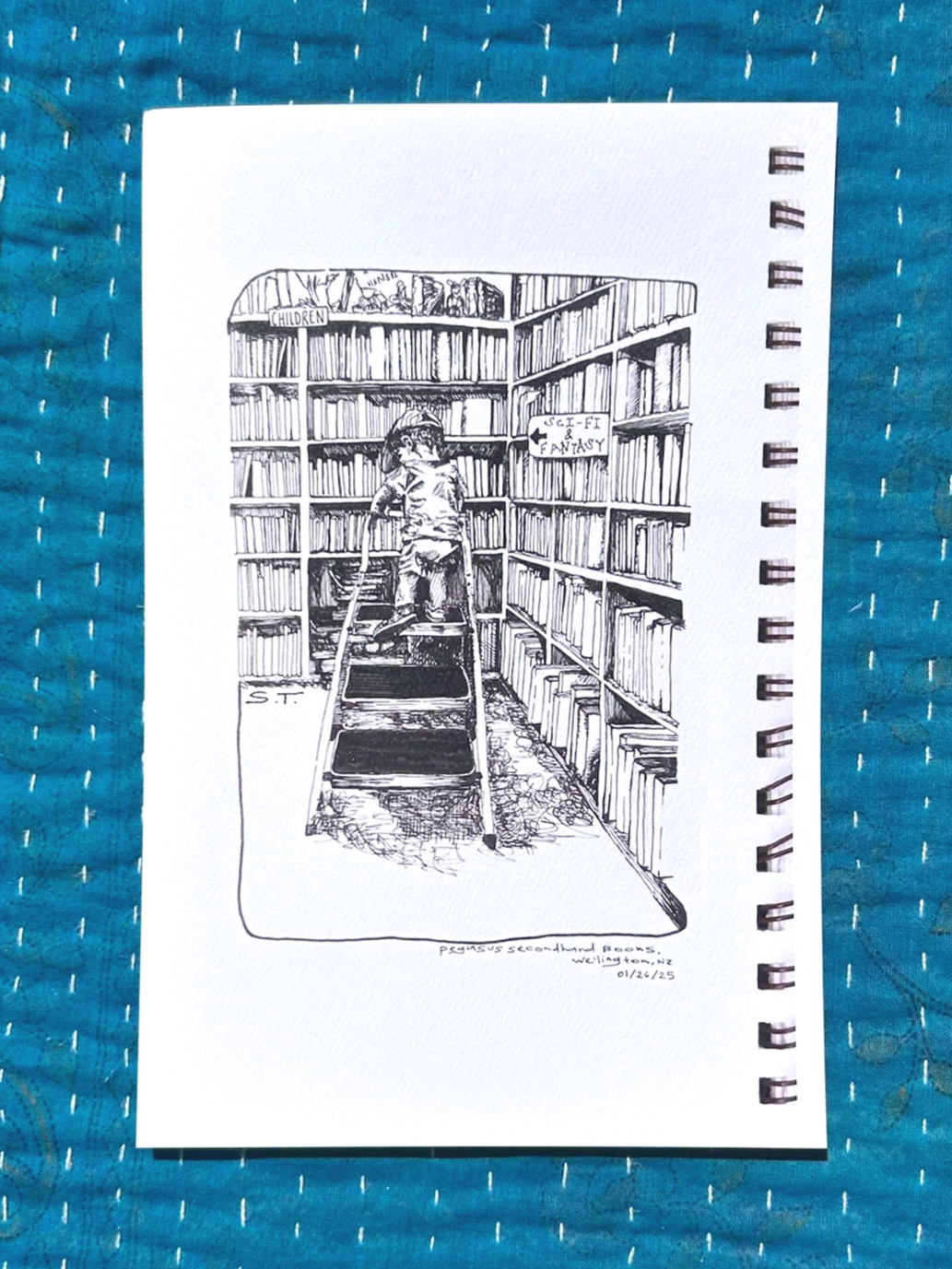 Pegasus Books- Art Print