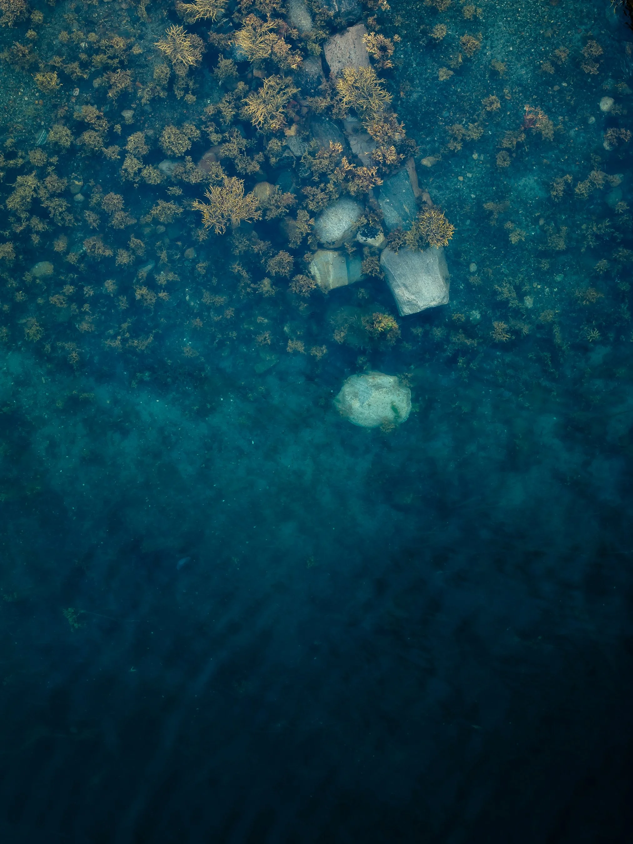 Shoreline | 2026