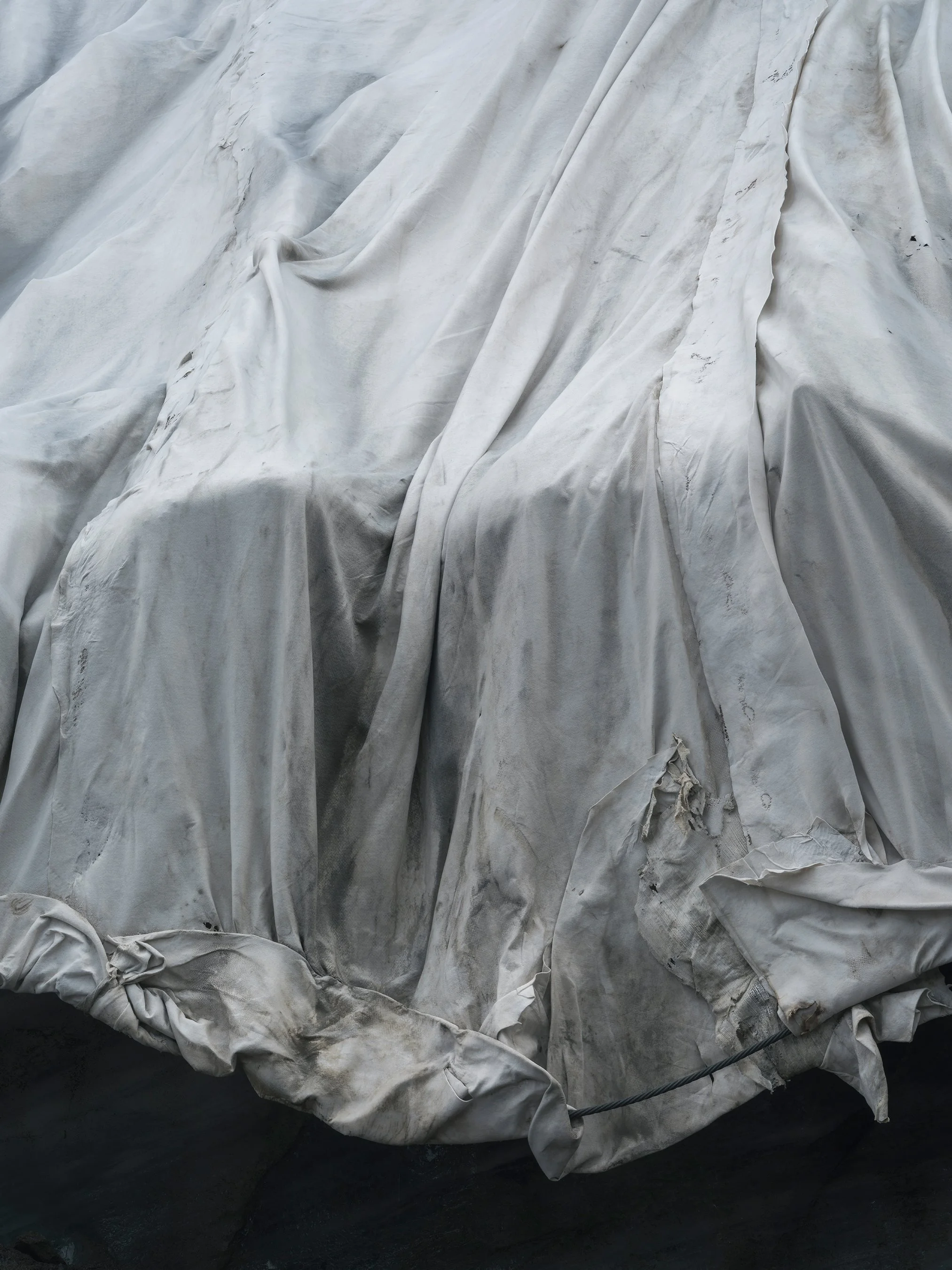 Veiled | 2026