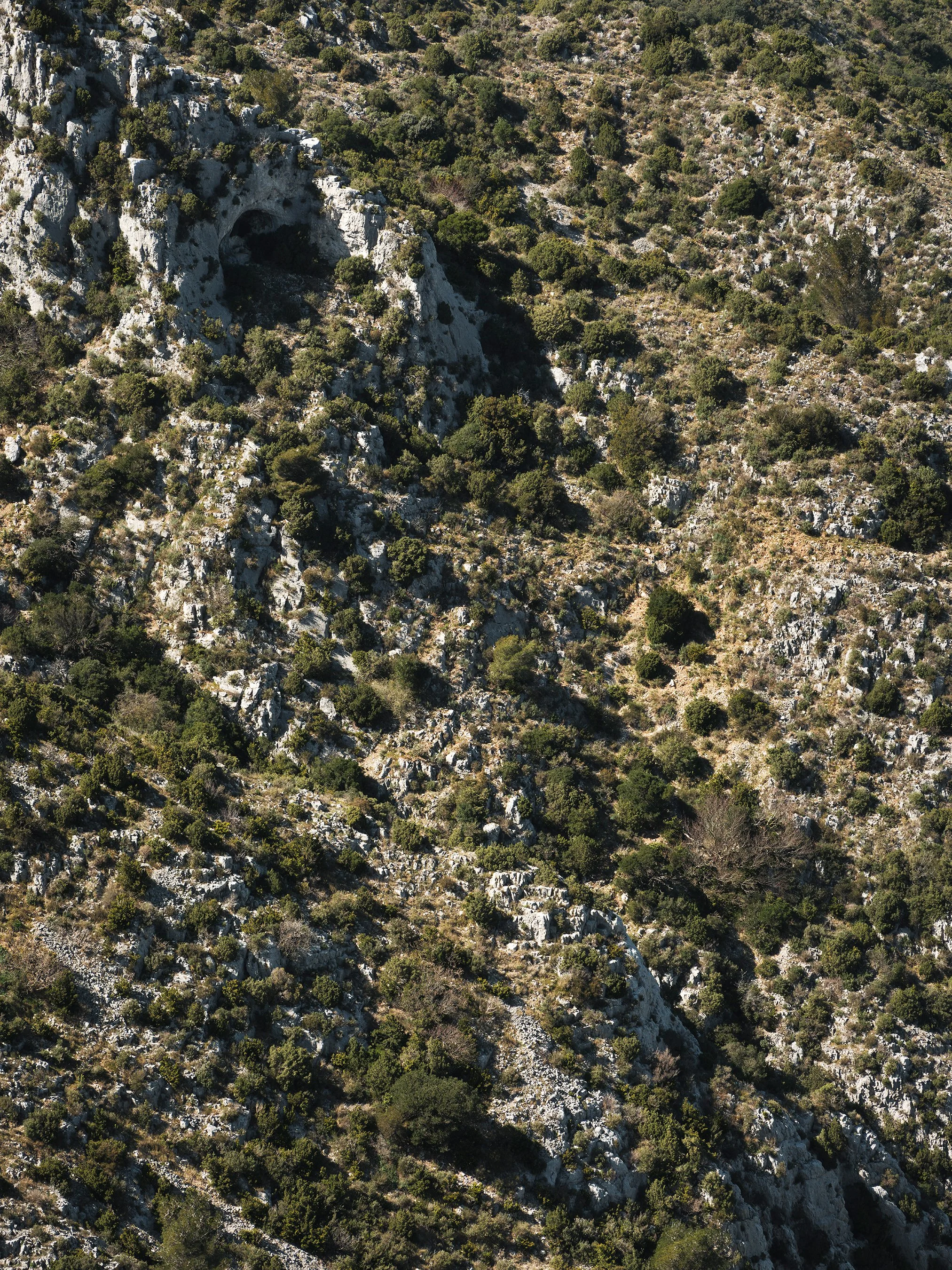 Alpilles | 2026