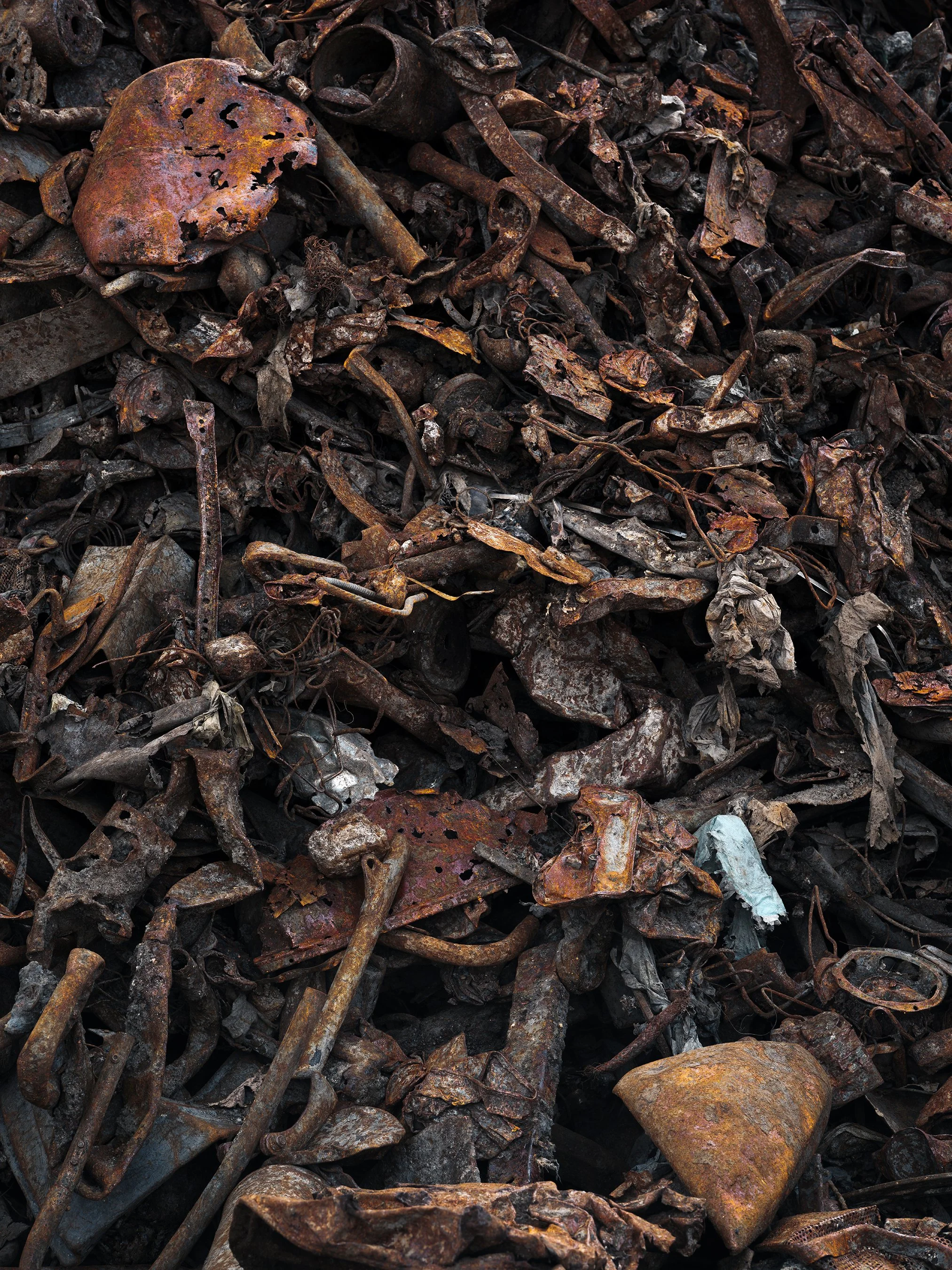 Rust | 2026